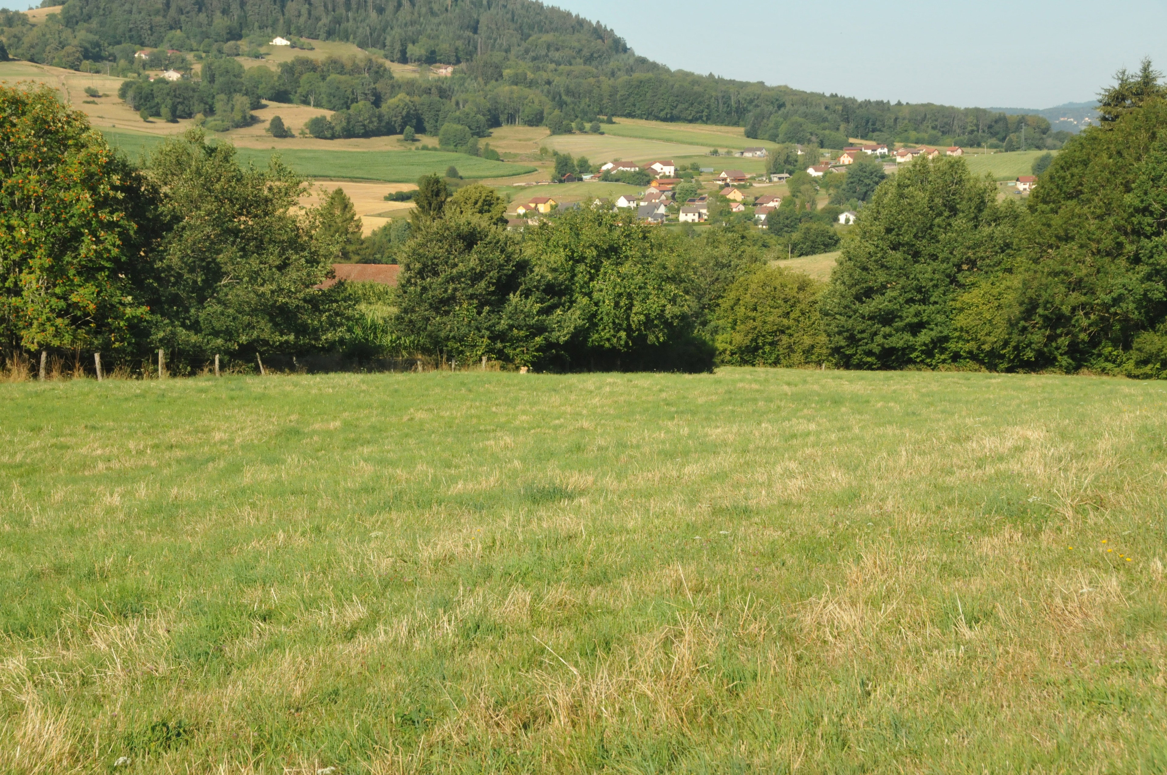 Casa nella natura a la-Chapelle-devant-Bruyères