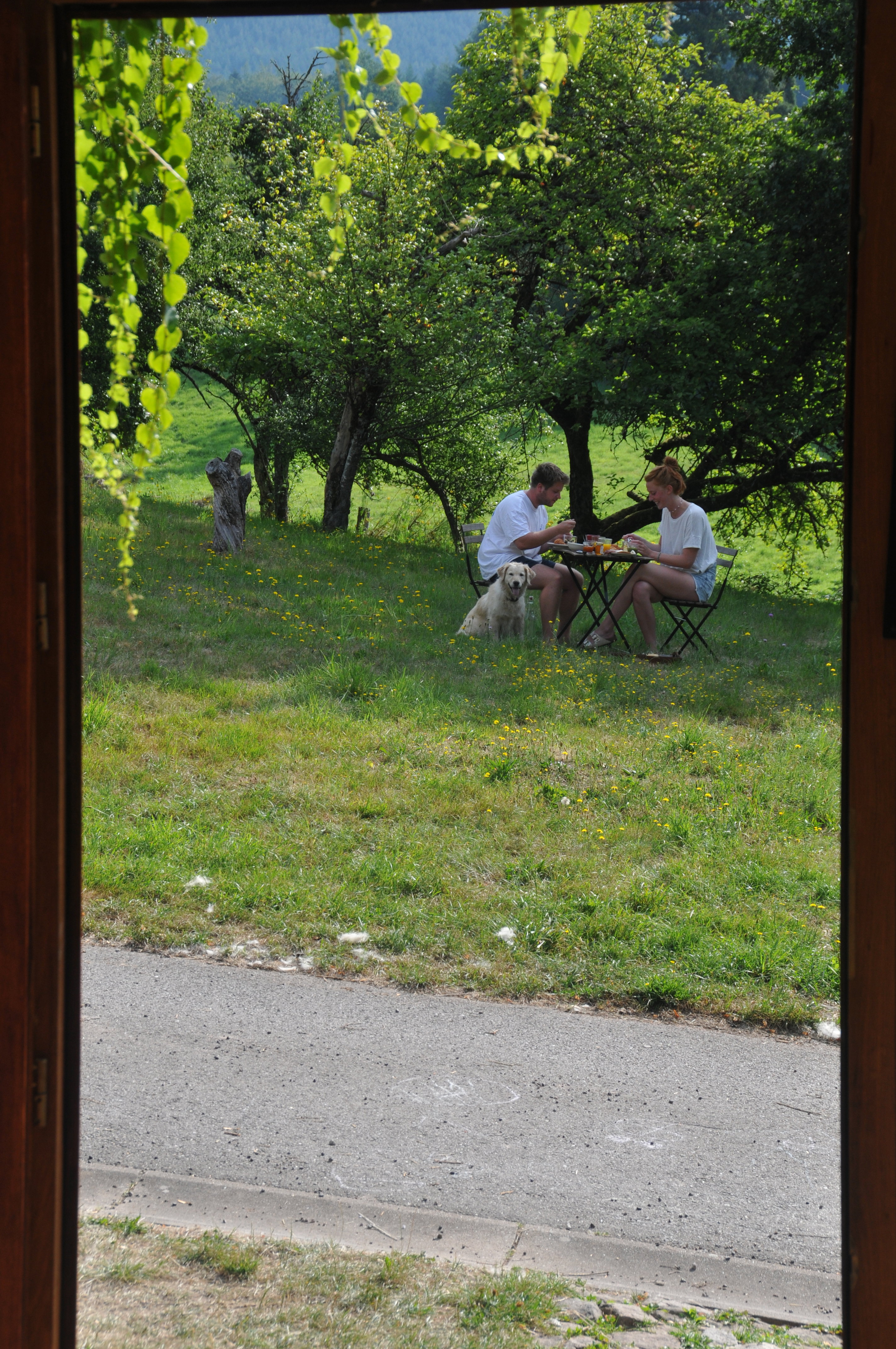 Casa nella natura a la-Chapelle-devant-Bruyères
