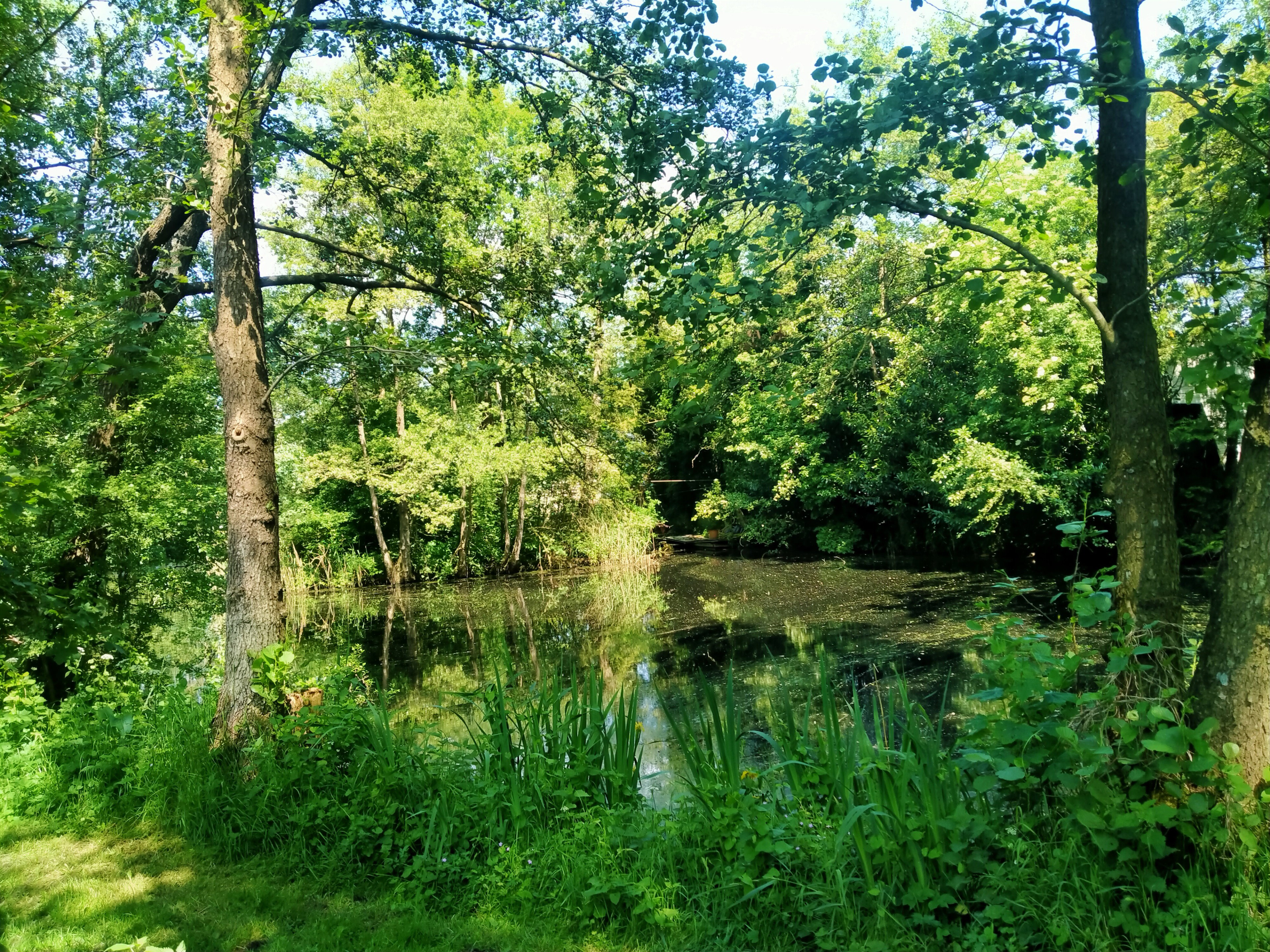 Natuurhuisje in Kollumerzwaag