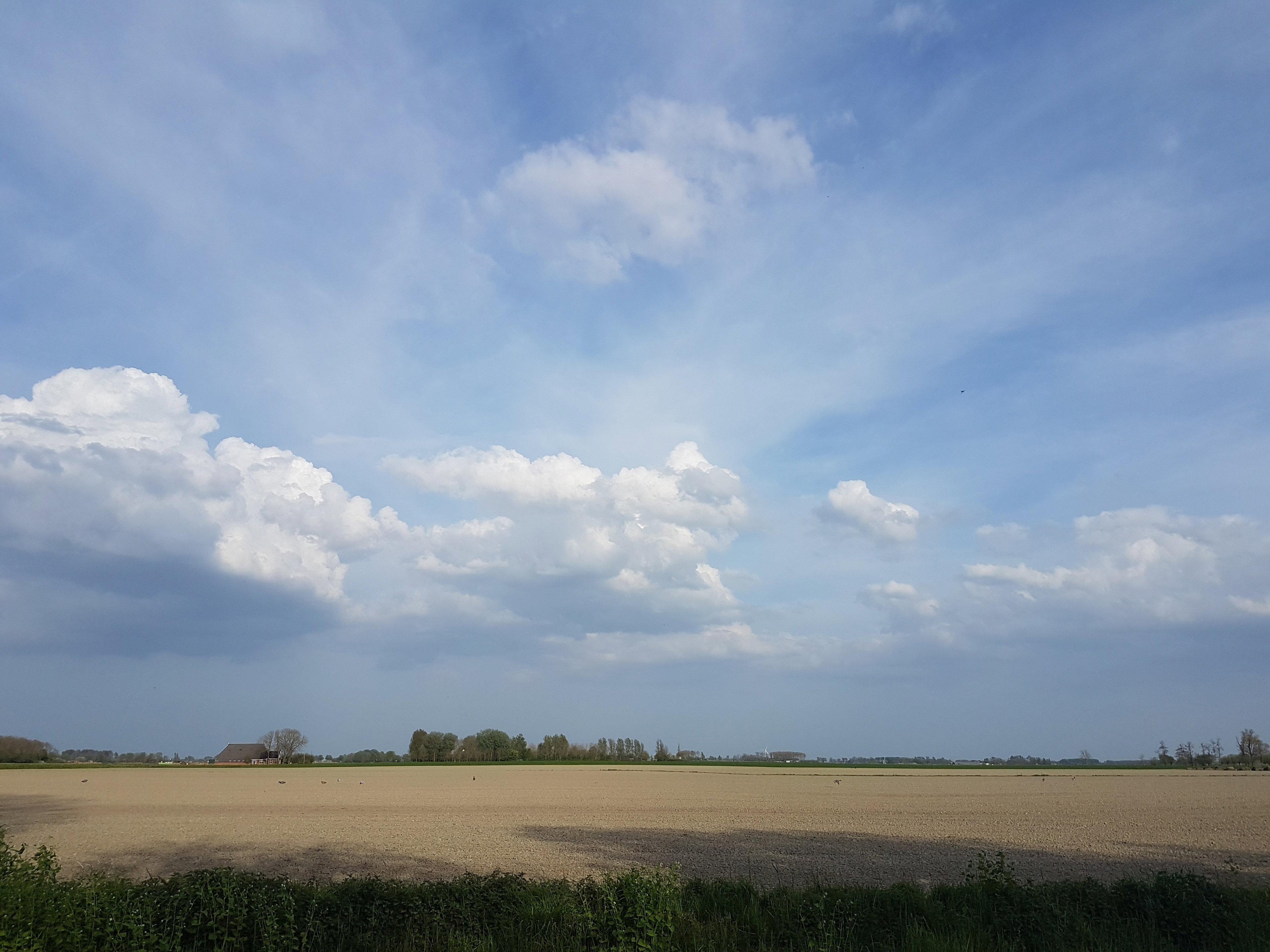 - image: 22