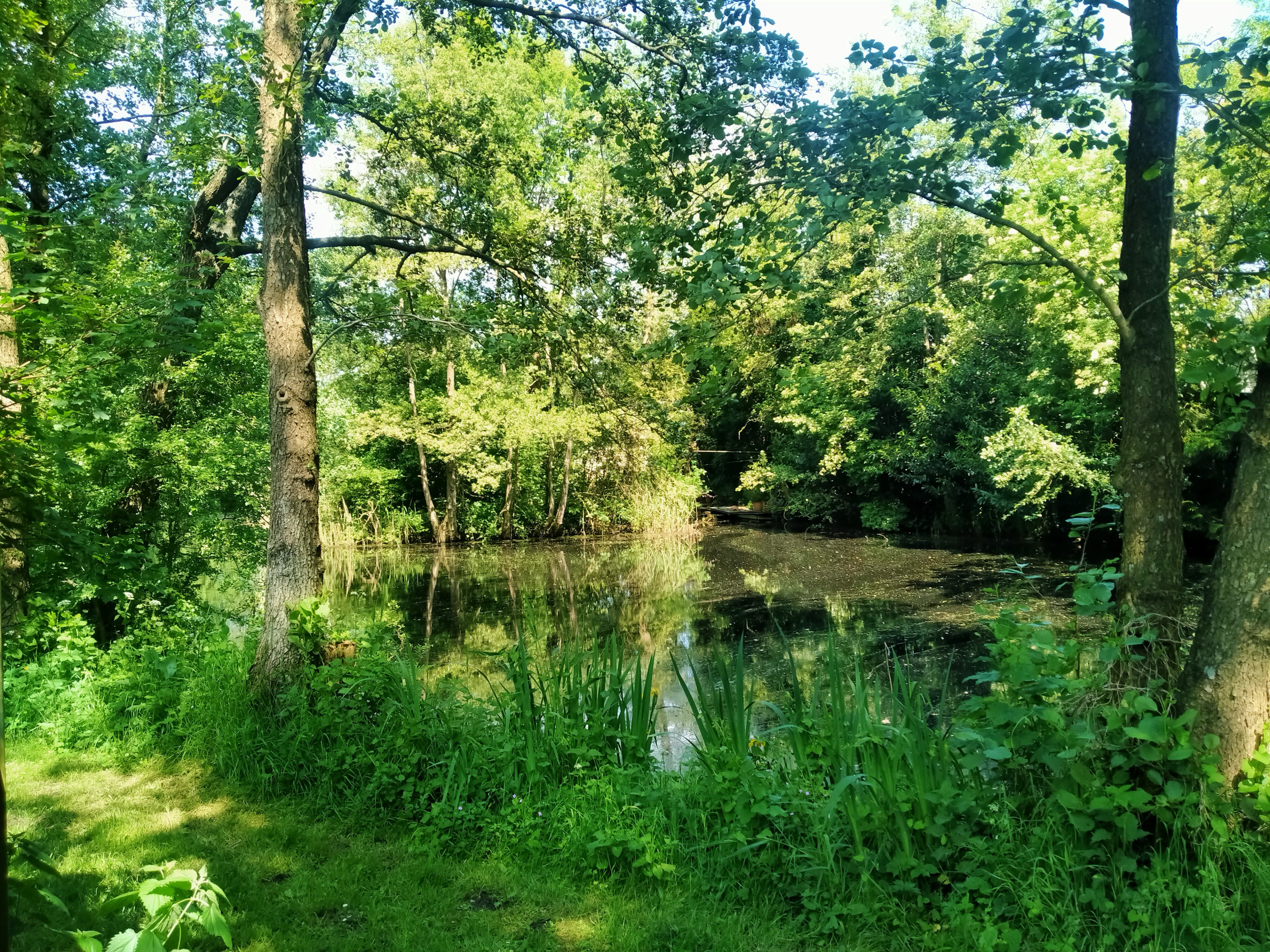 Naturhäuschen in Kollumerzwaag