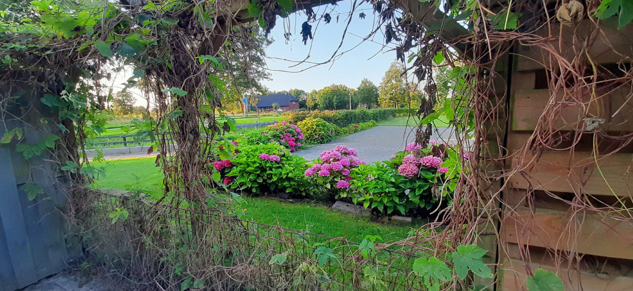 Casa nella natura a Wijnjewoude
