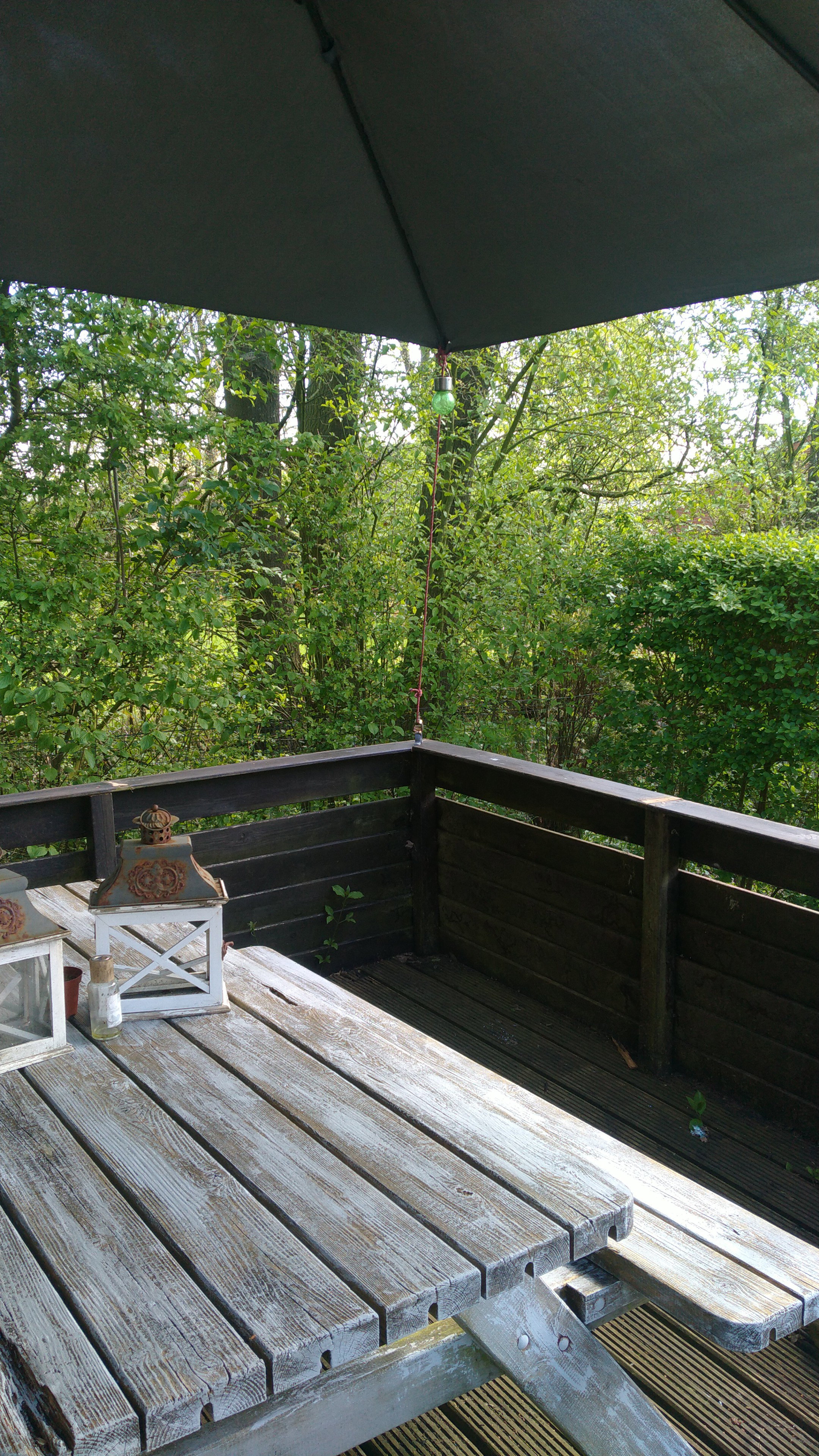 Naturhäuschen in Kollumerzwaag