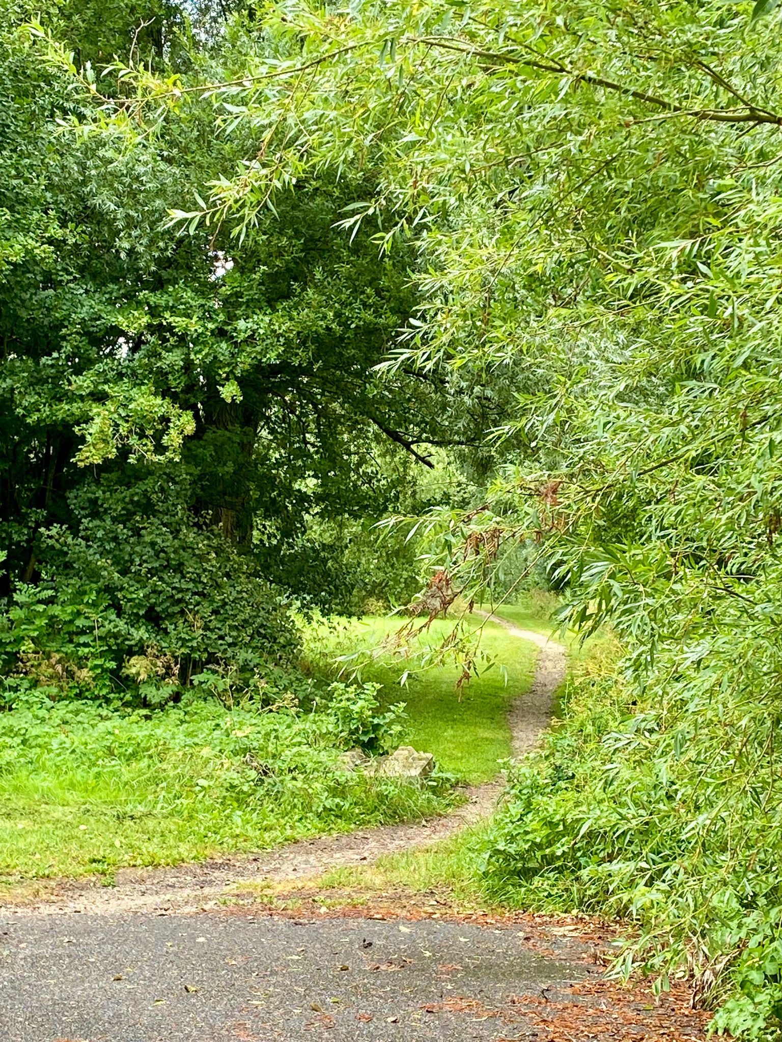Natuurhuisje in Kollumerzwaag