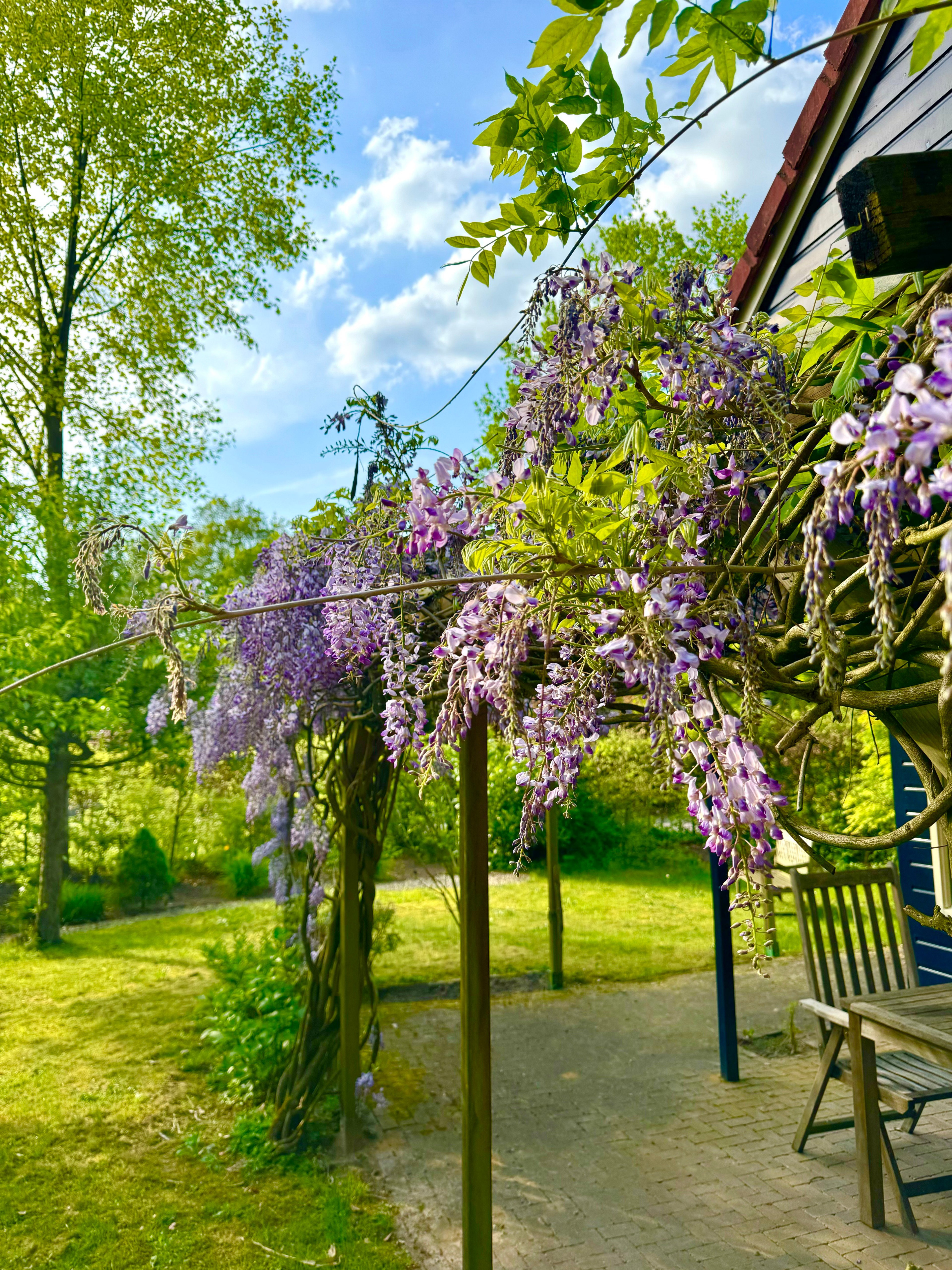 Natuurhuisje in Winterswijk