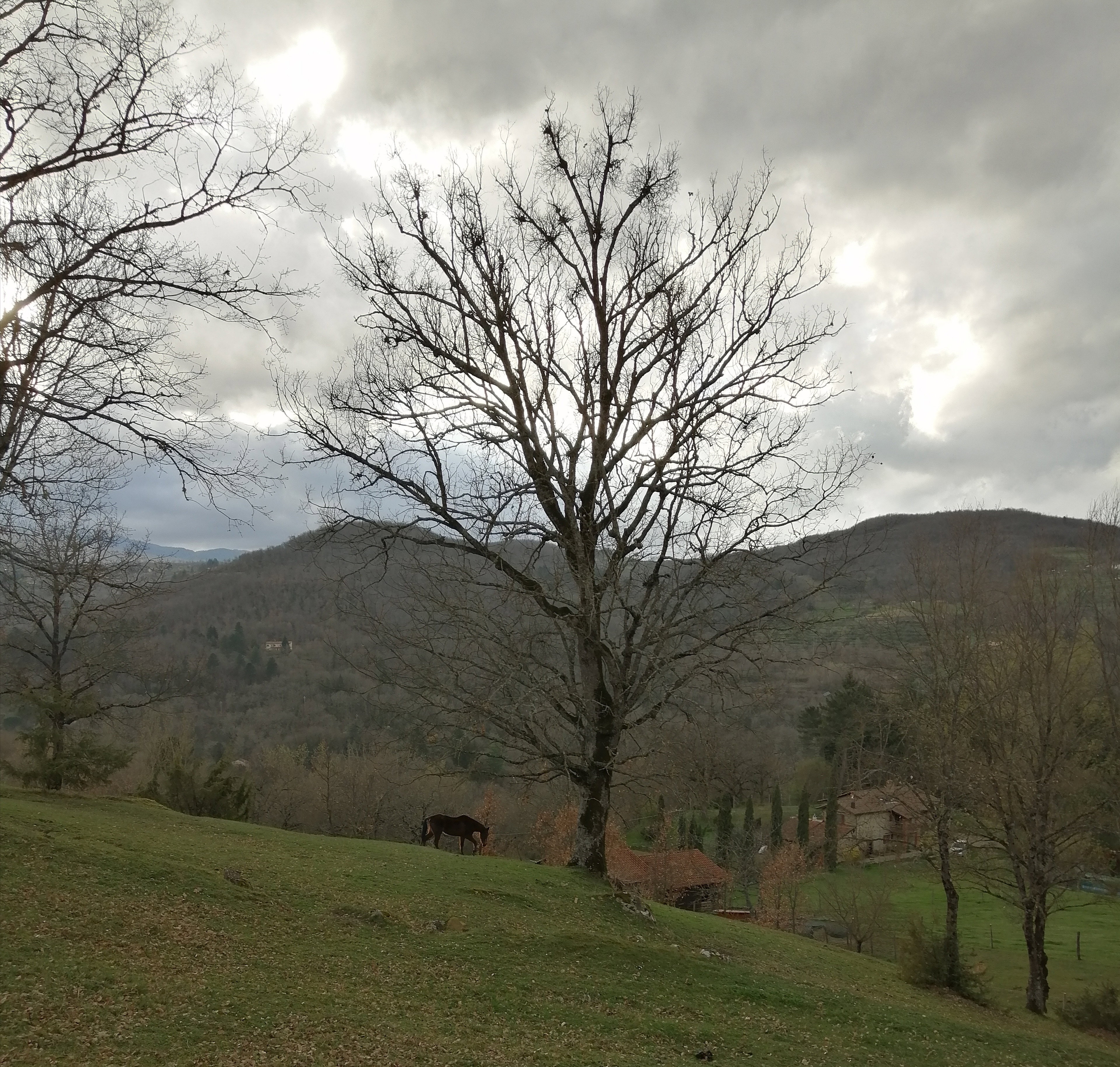 - image: 12