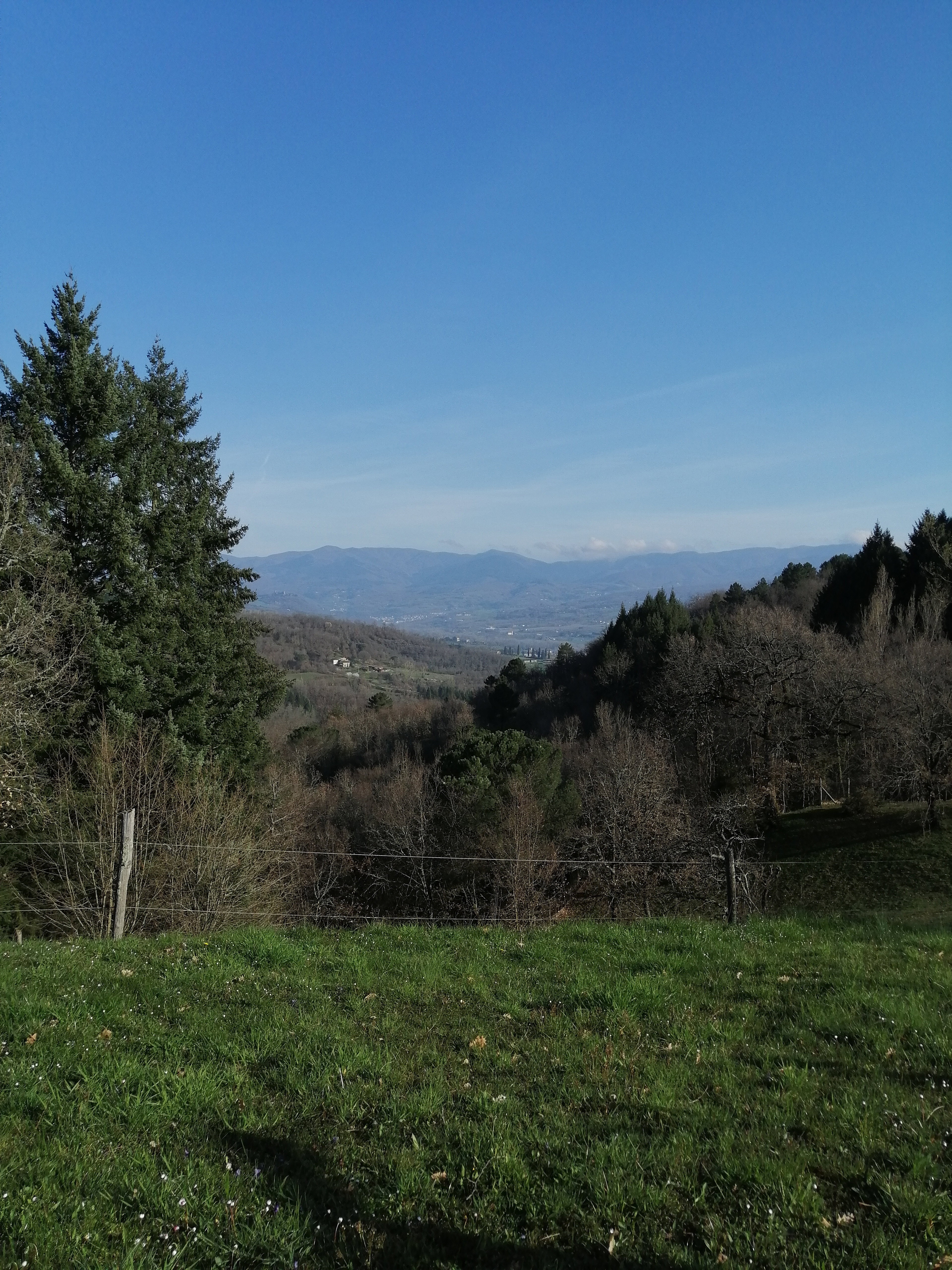 - image: 14