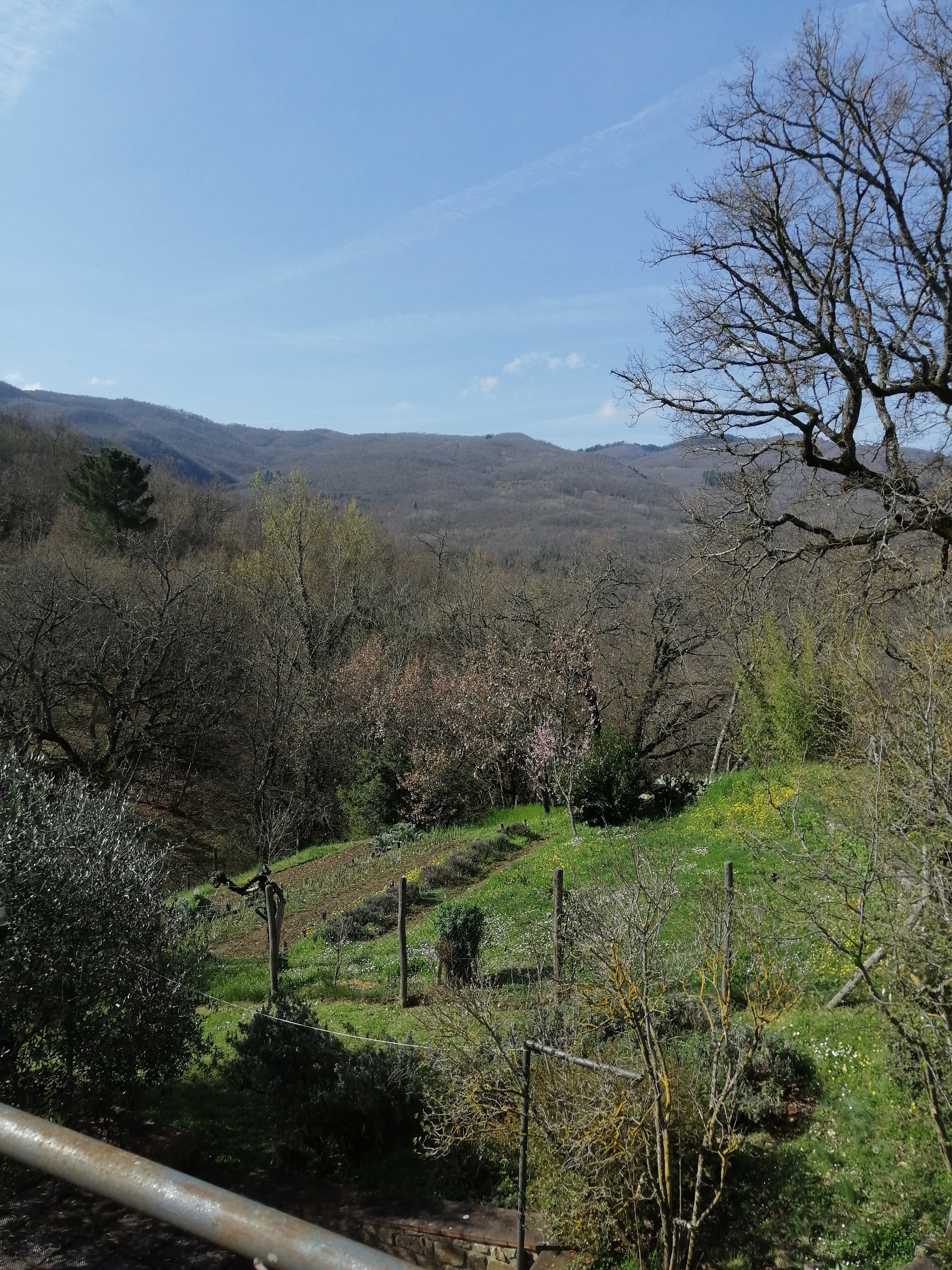 - image: 15