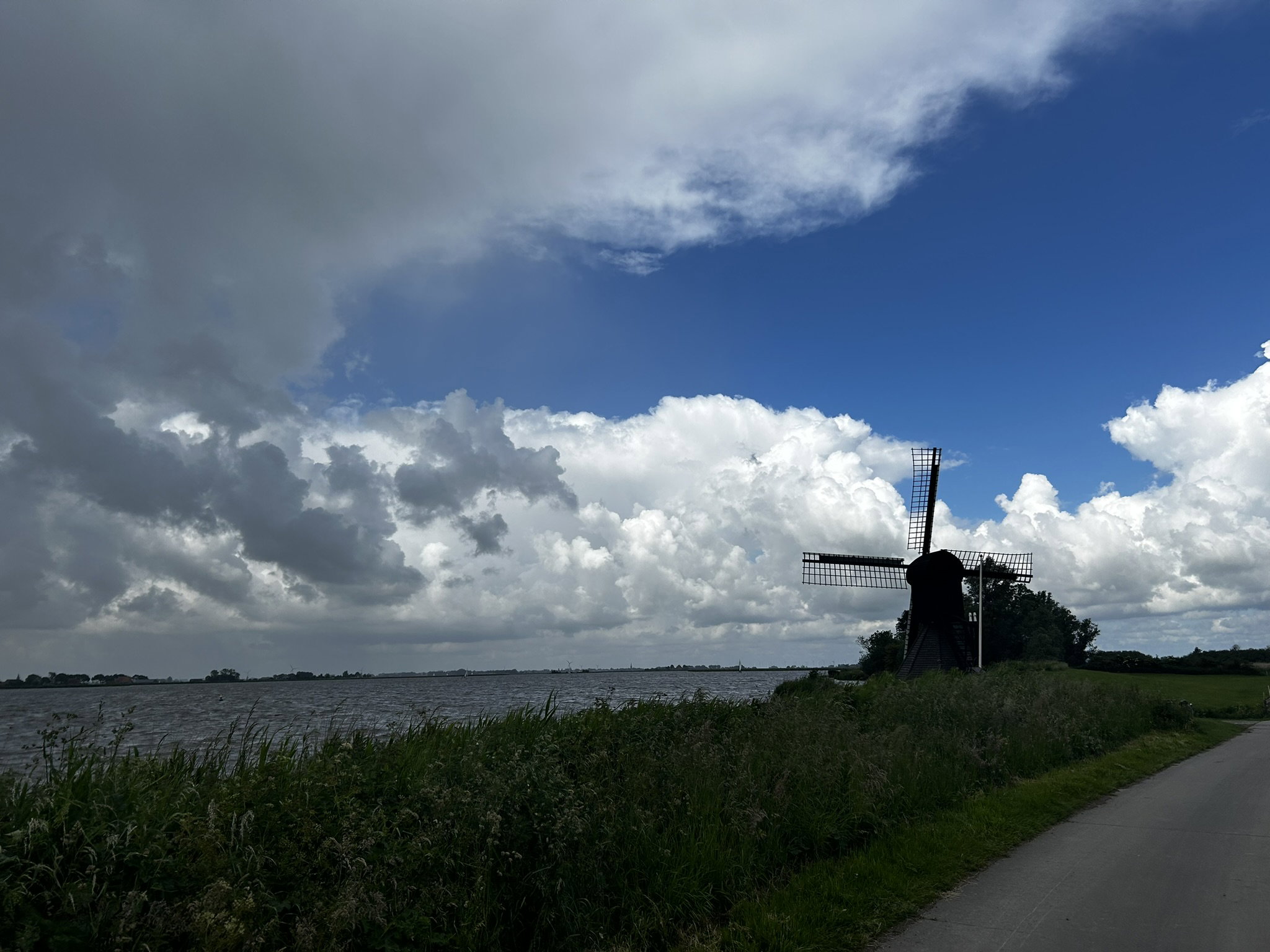 - image: 29