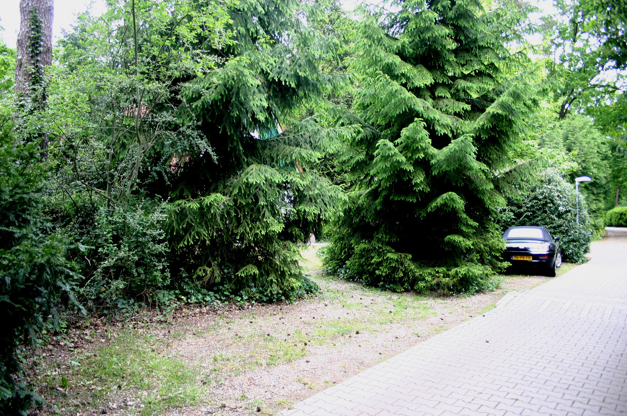 - image: 13