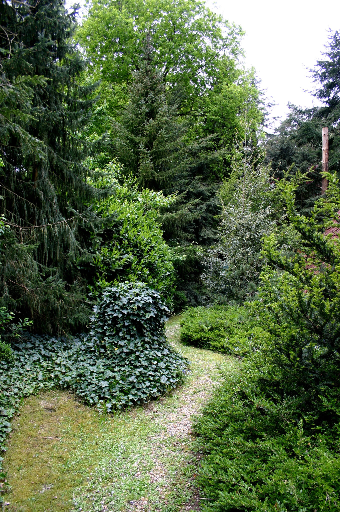 - image: 12