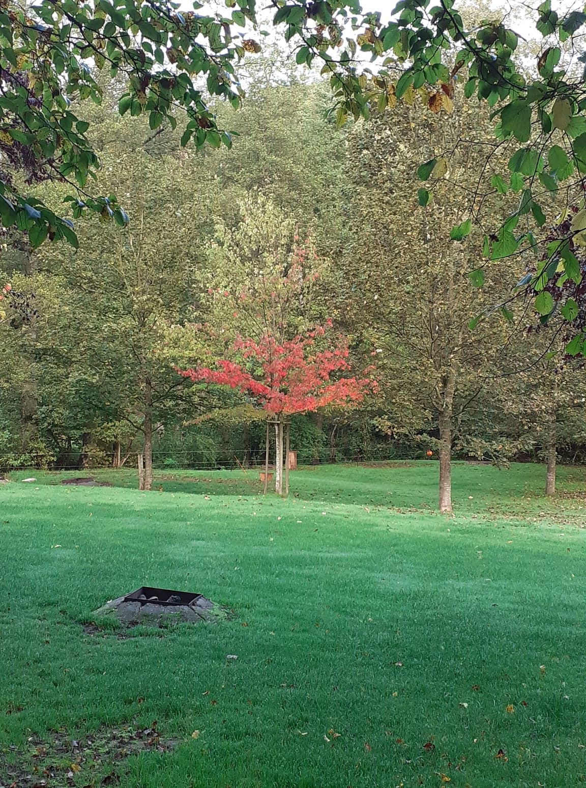 Natuurhuisje in La roche-en-ardenne