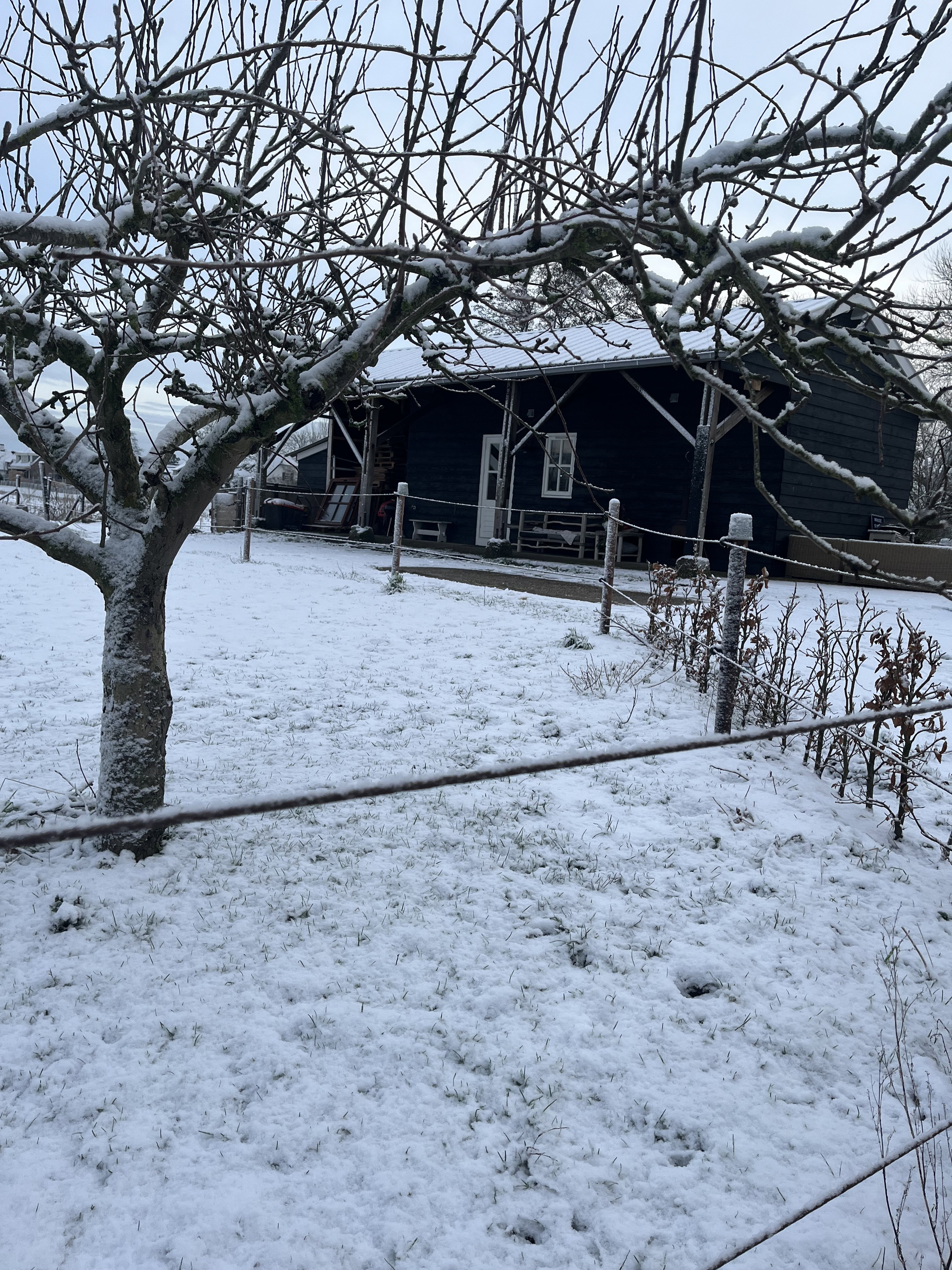 Naturhäuschen in Herwijnen