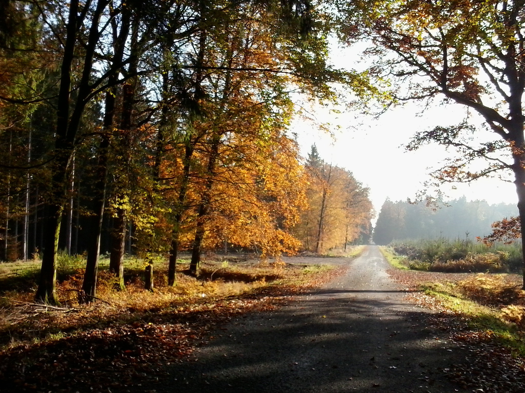 Natuurhuisje in Bouillon