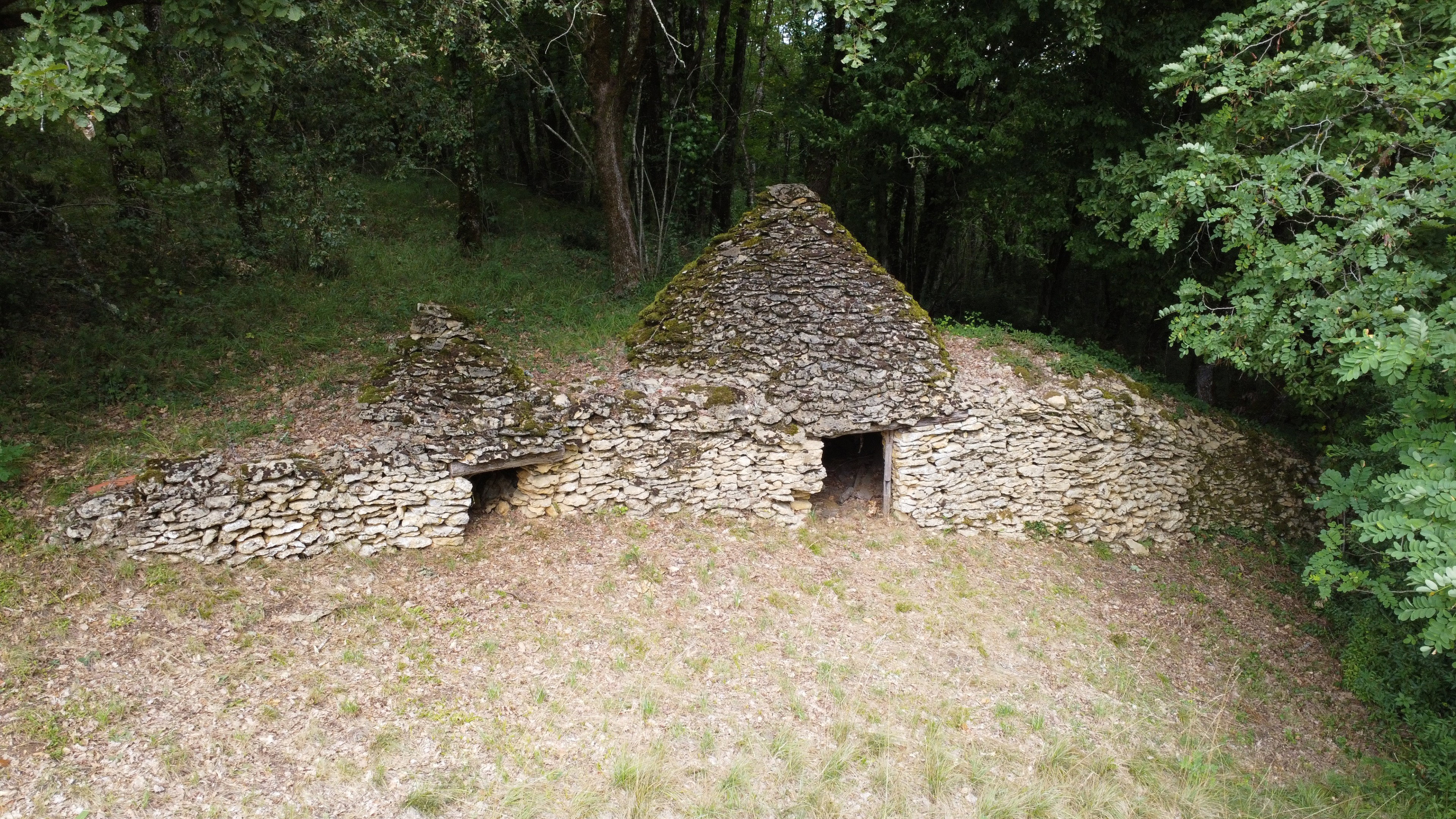 - image: 13