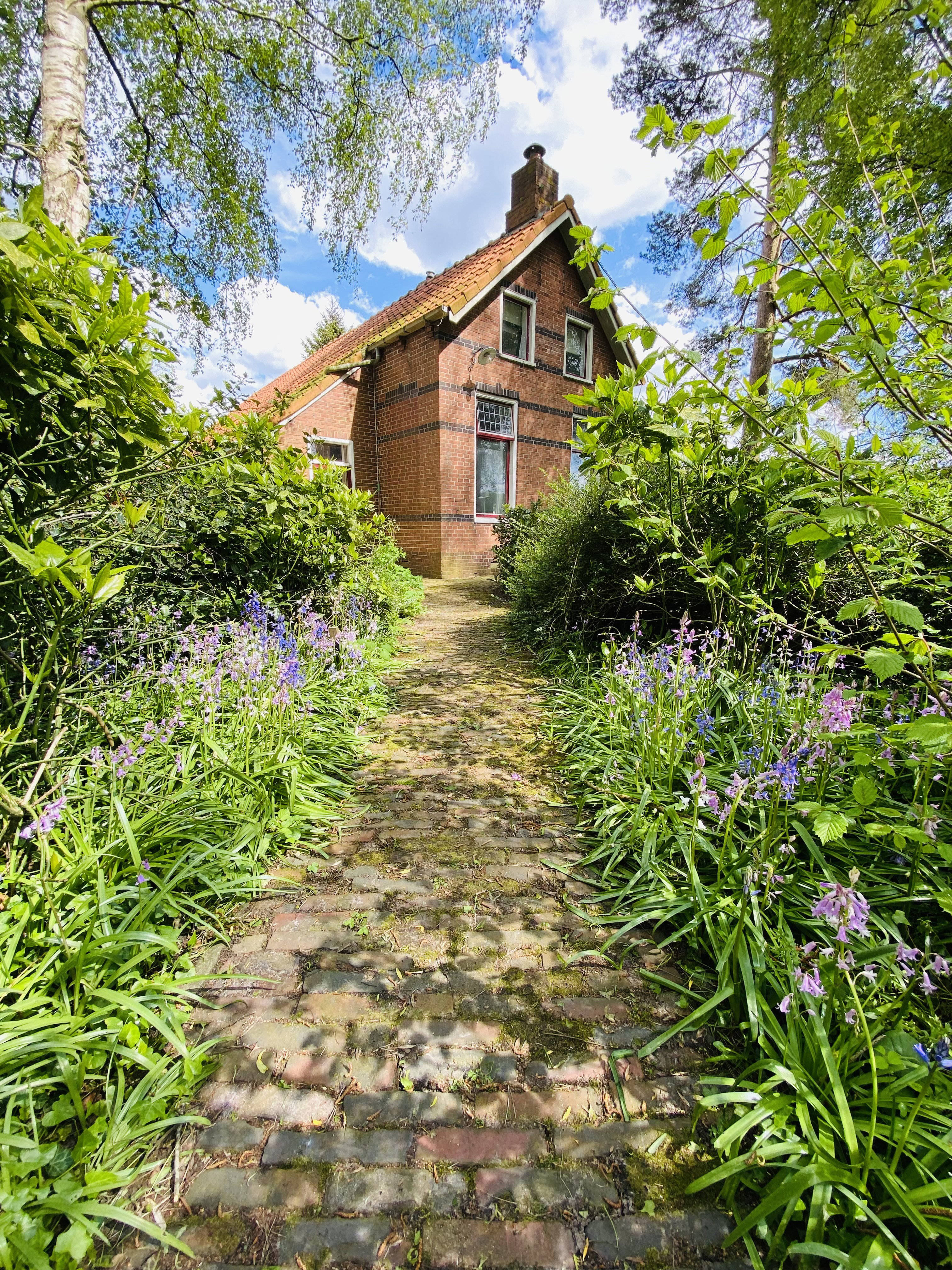 Natuurhuisje in Blijham
