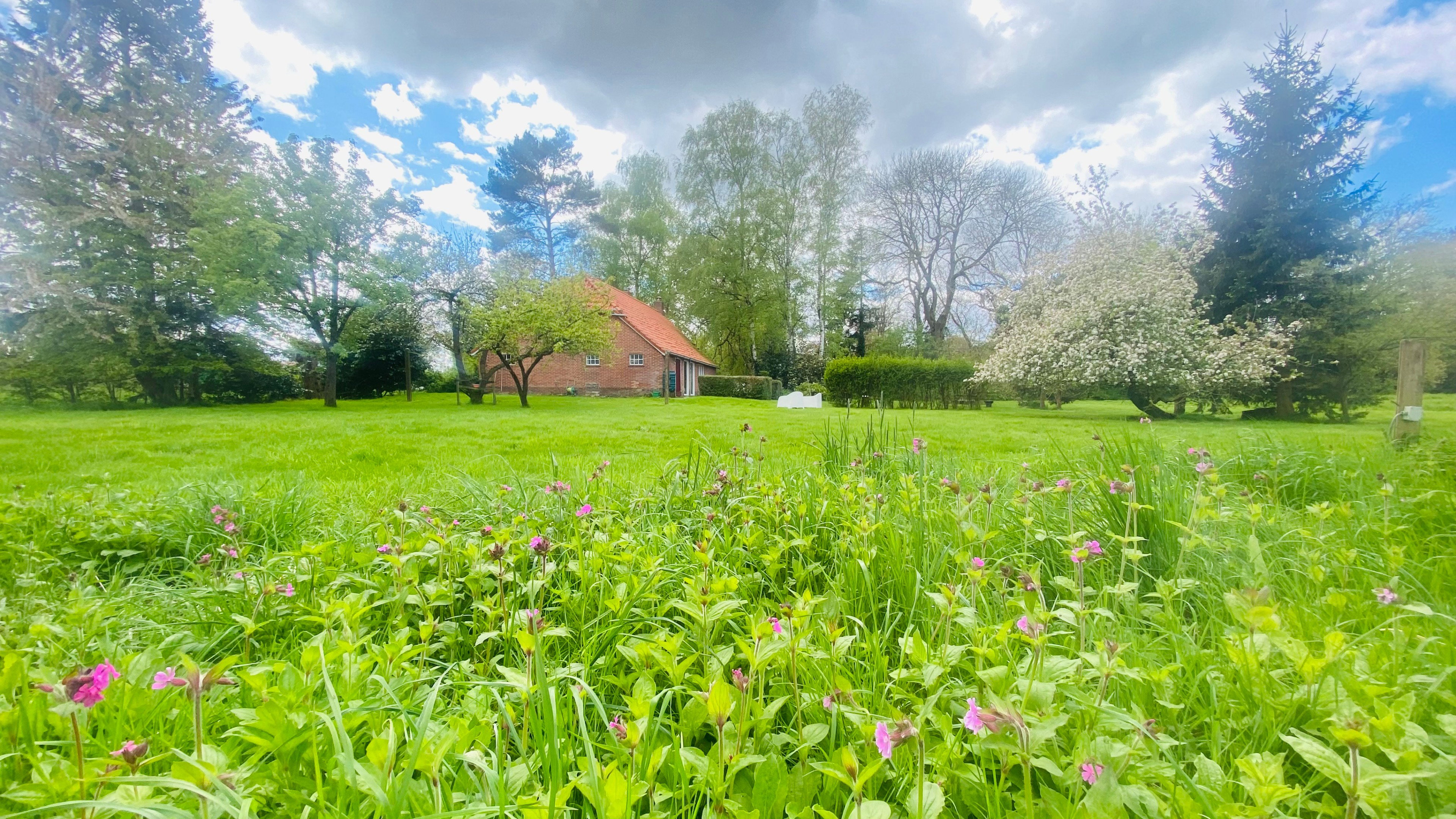 Natuurhuisje in Blijham