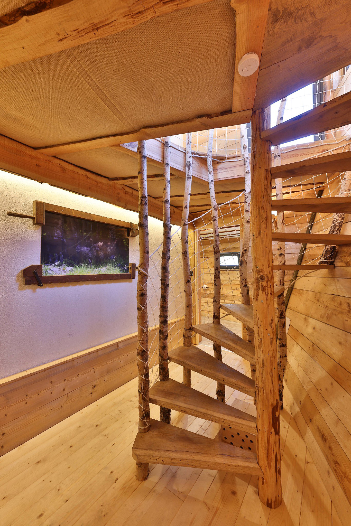 - image: 13