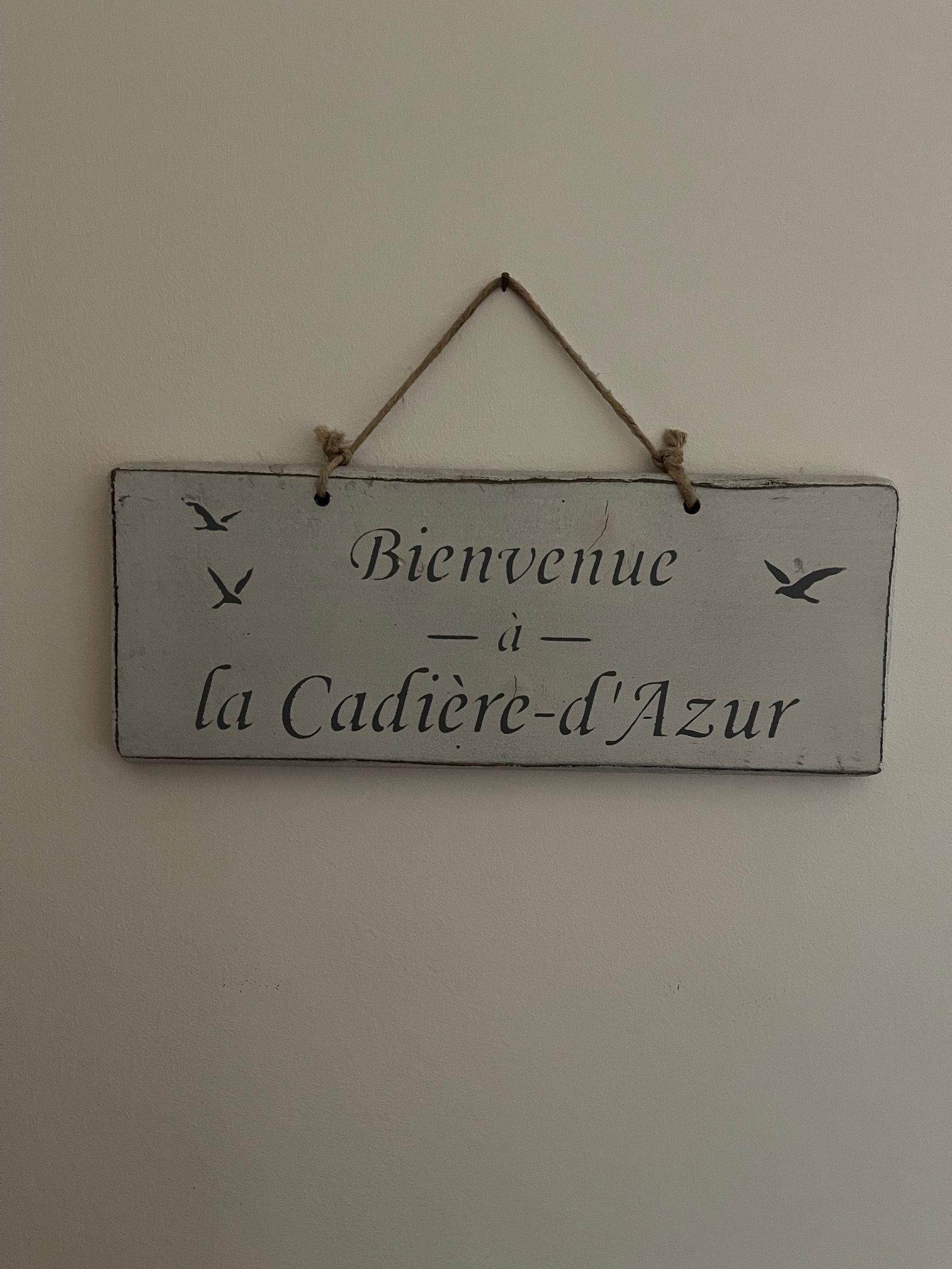 - image: 16