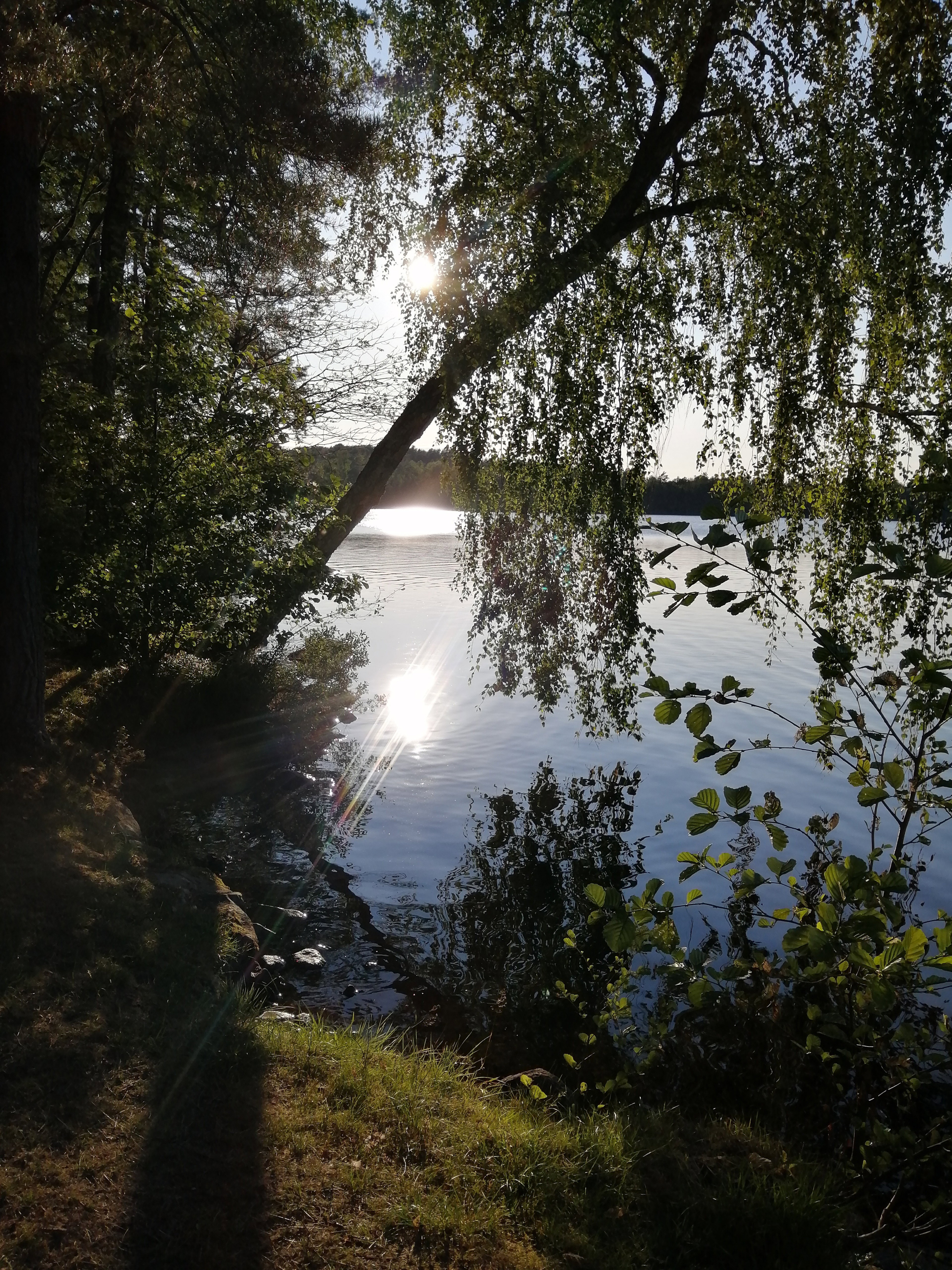 - image: 24