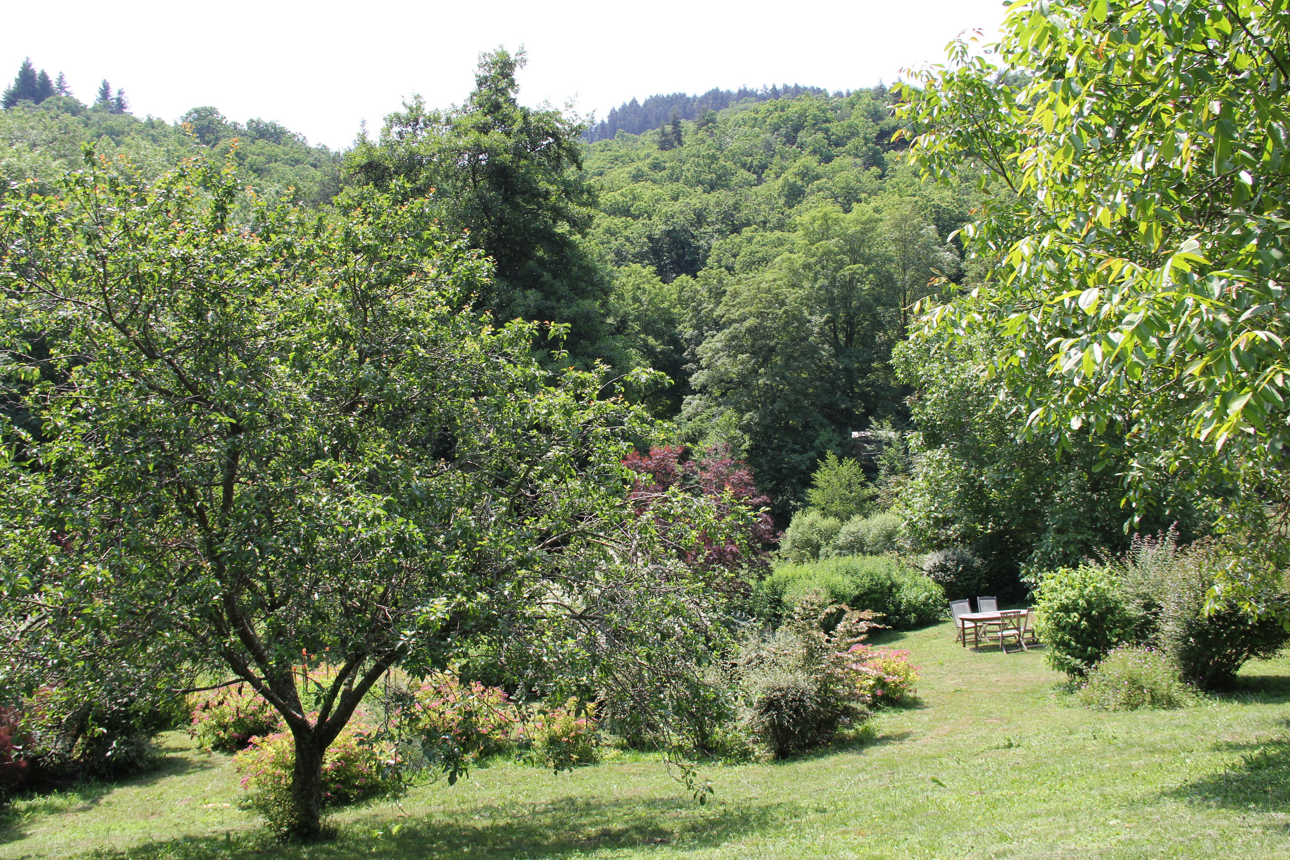 - image: 28