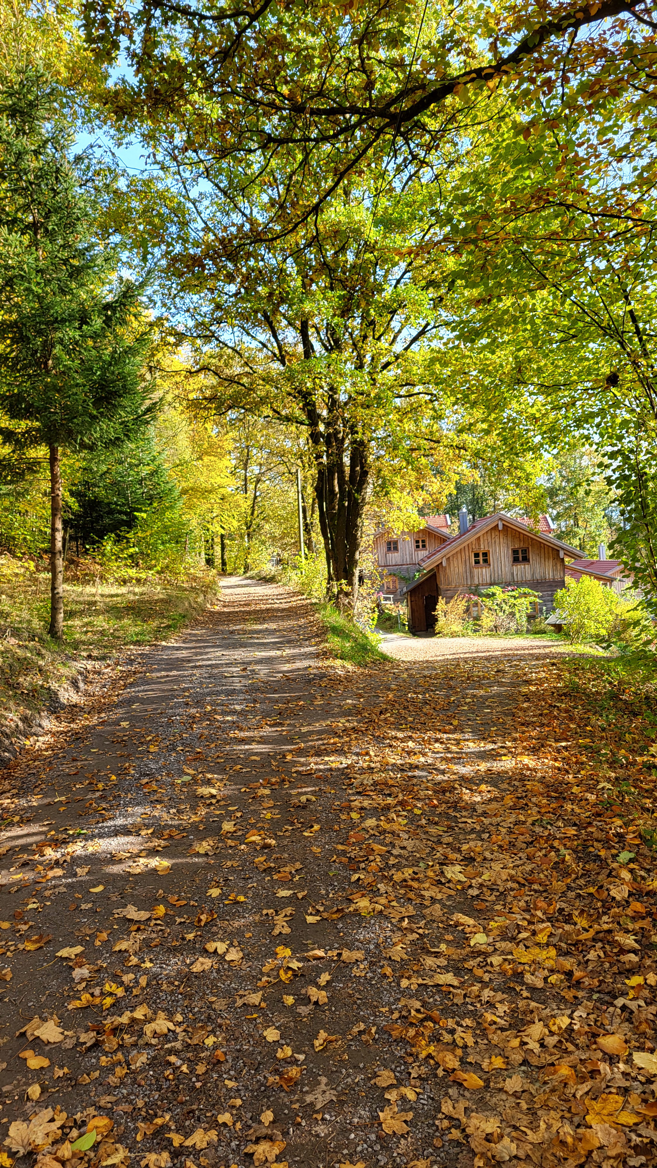 - image: 11