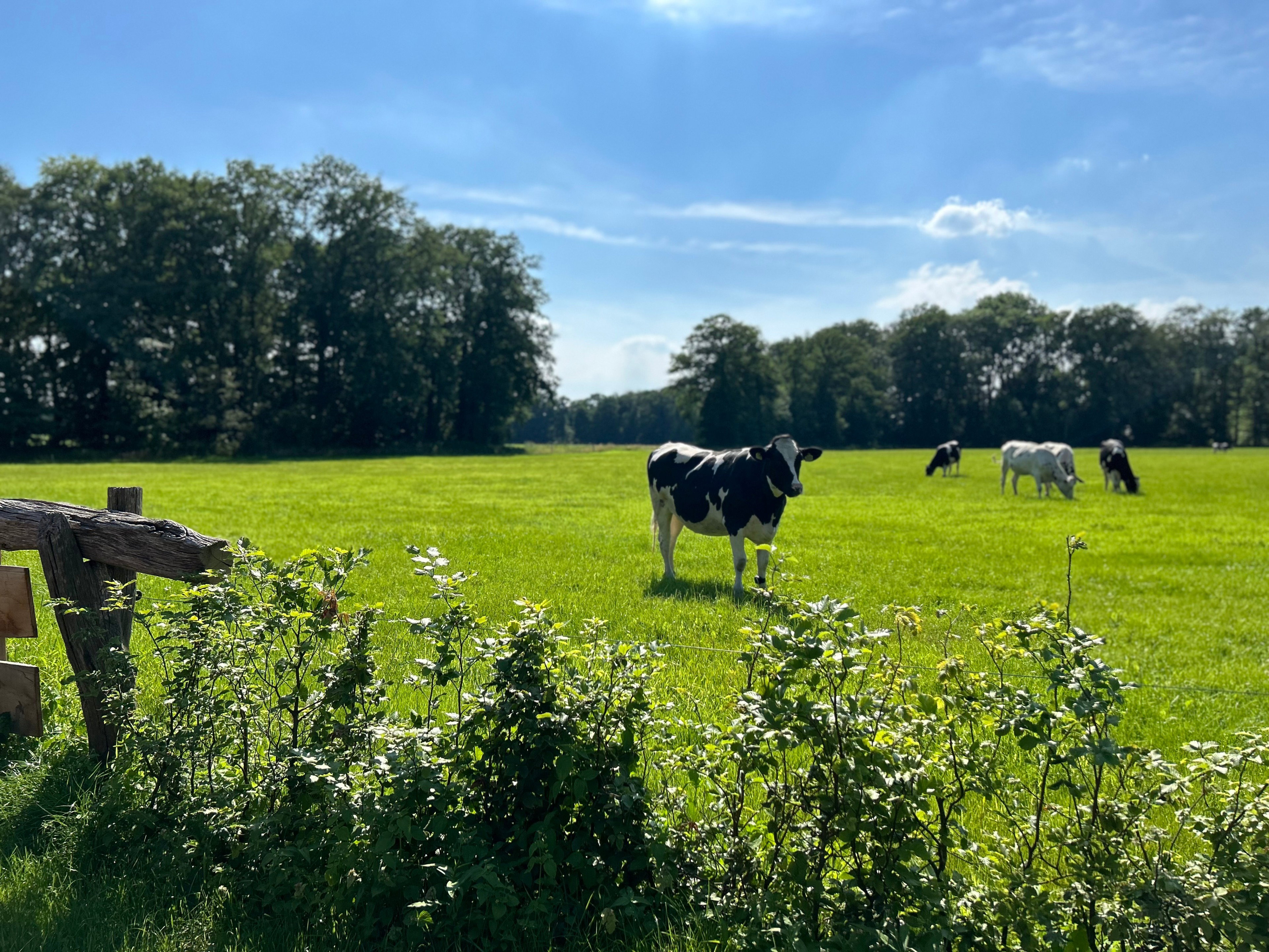 Natuurhuisje in Agelo