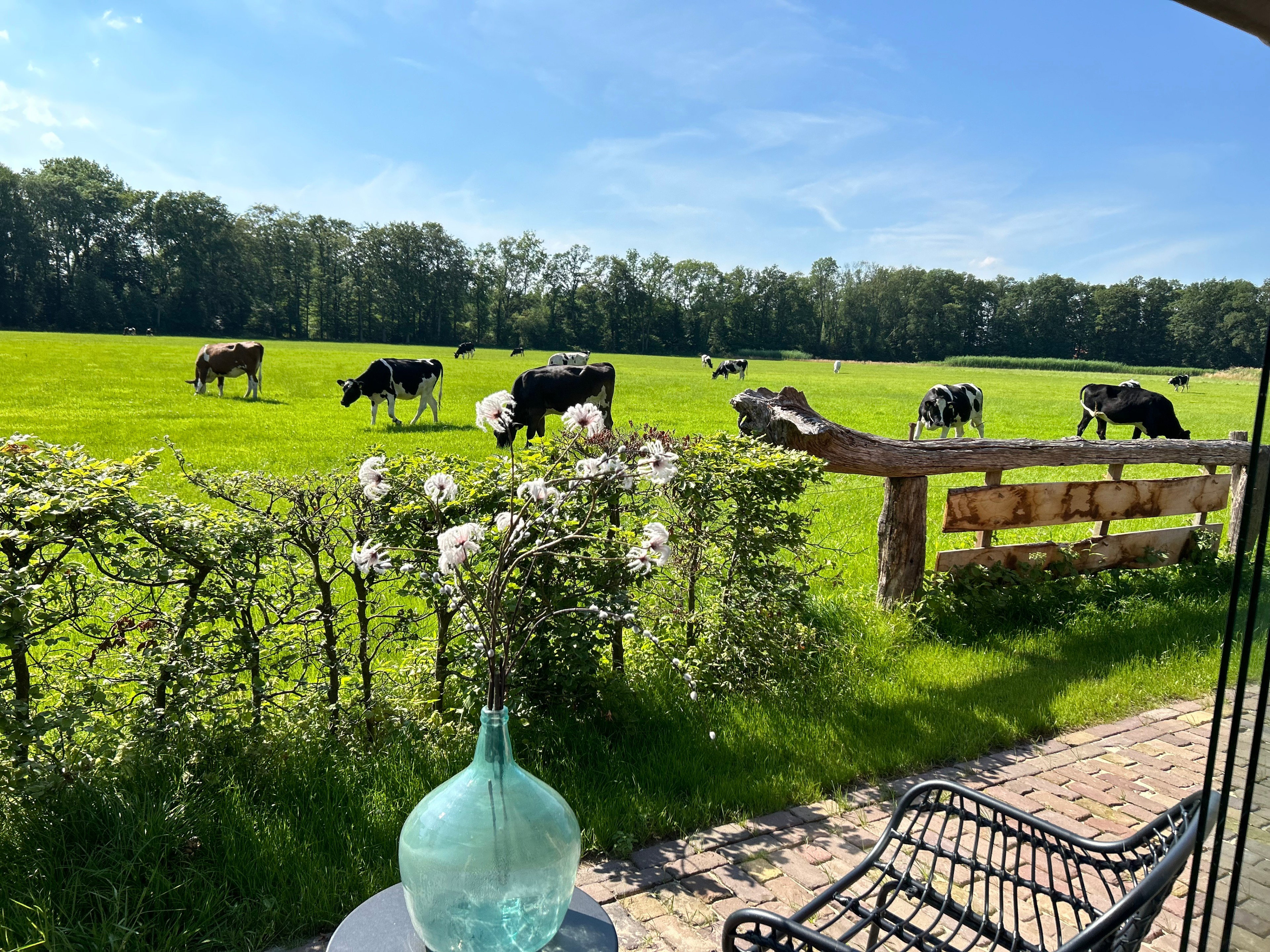 Natuurhuisje in Agelo