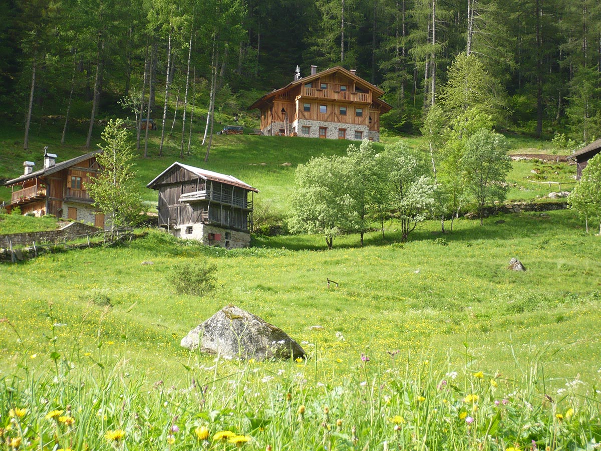 Maison nature à Rabbi