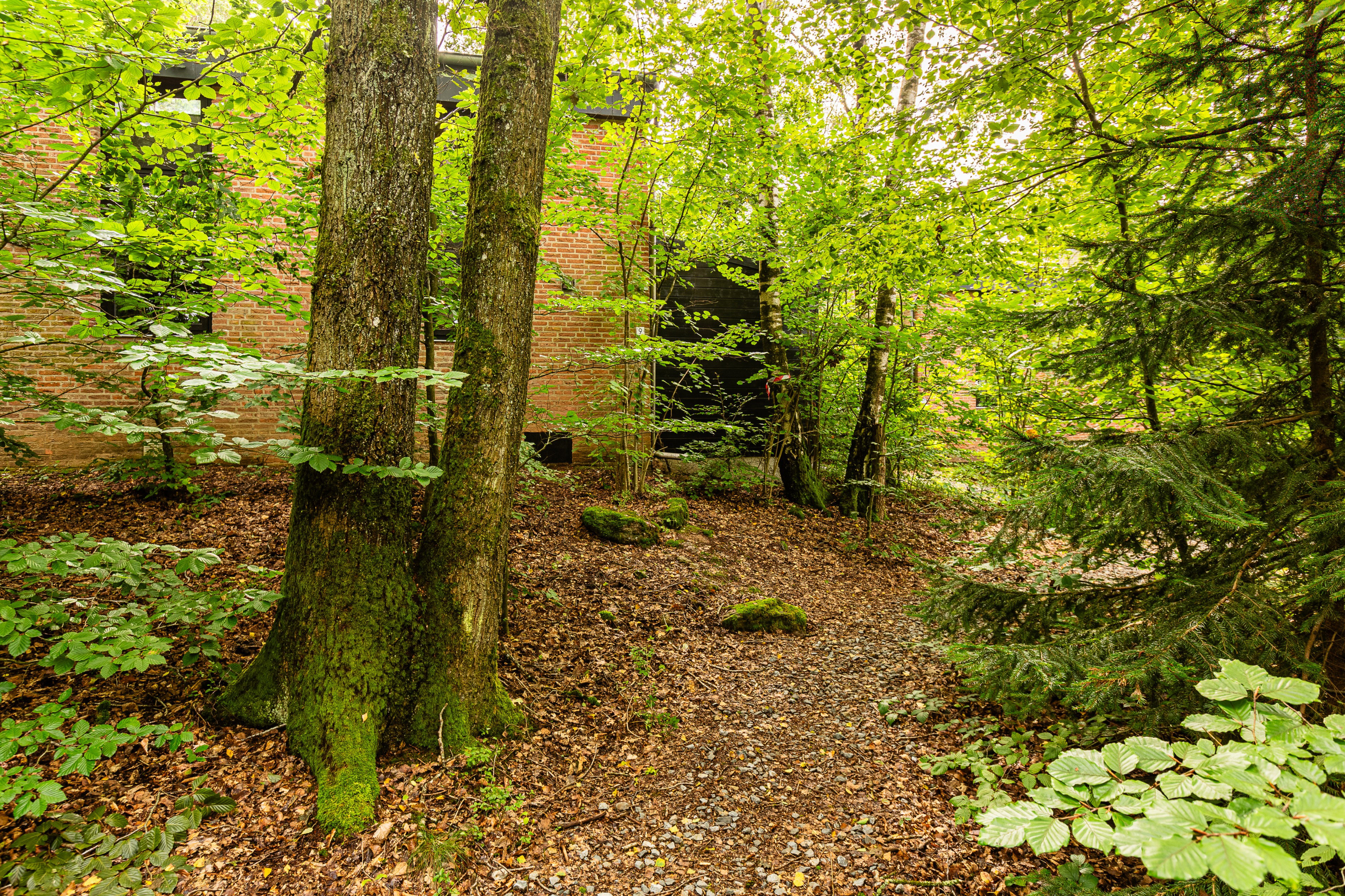 - image: 11