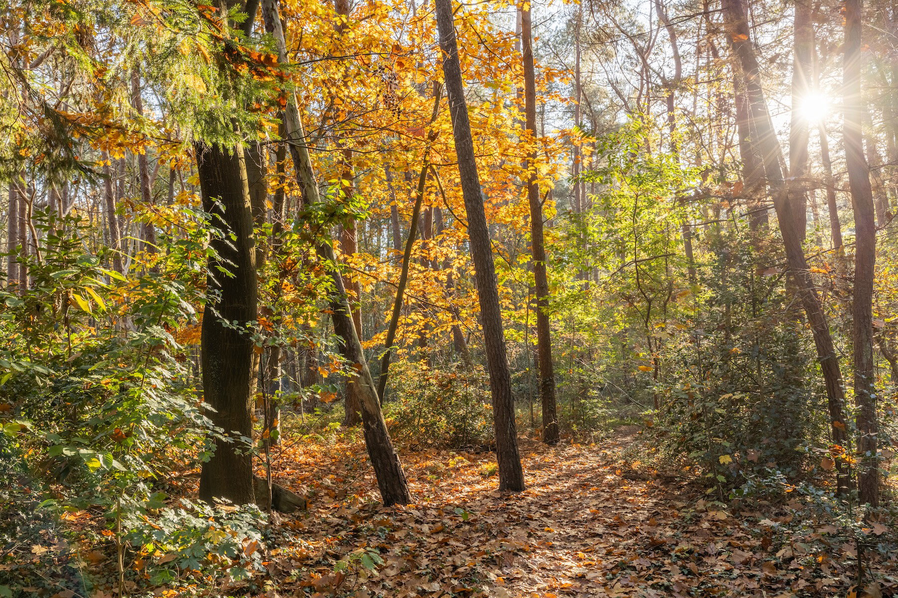 Naturhäuschen in Norg