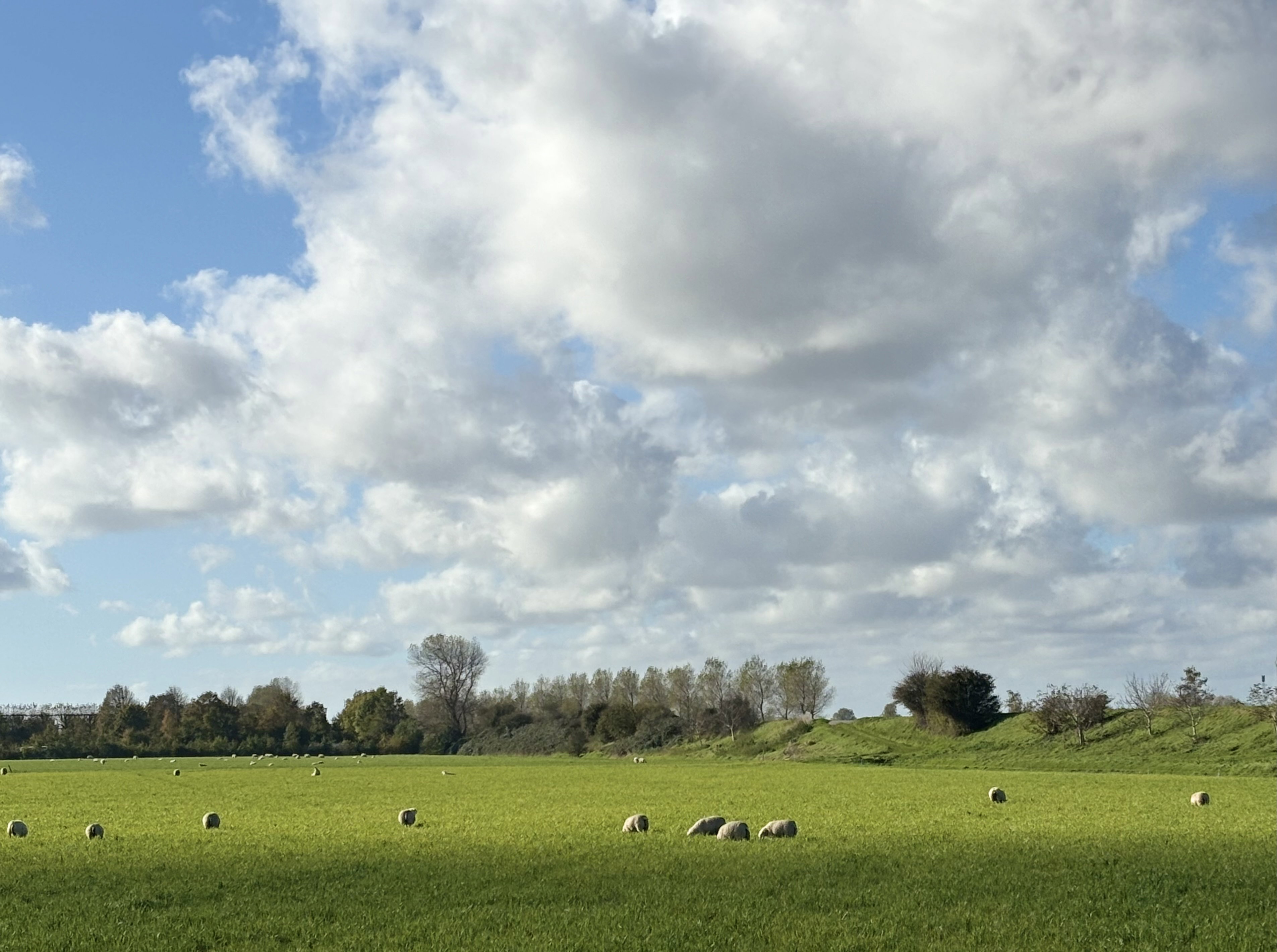 Naturhäuschen in Zonnemaire