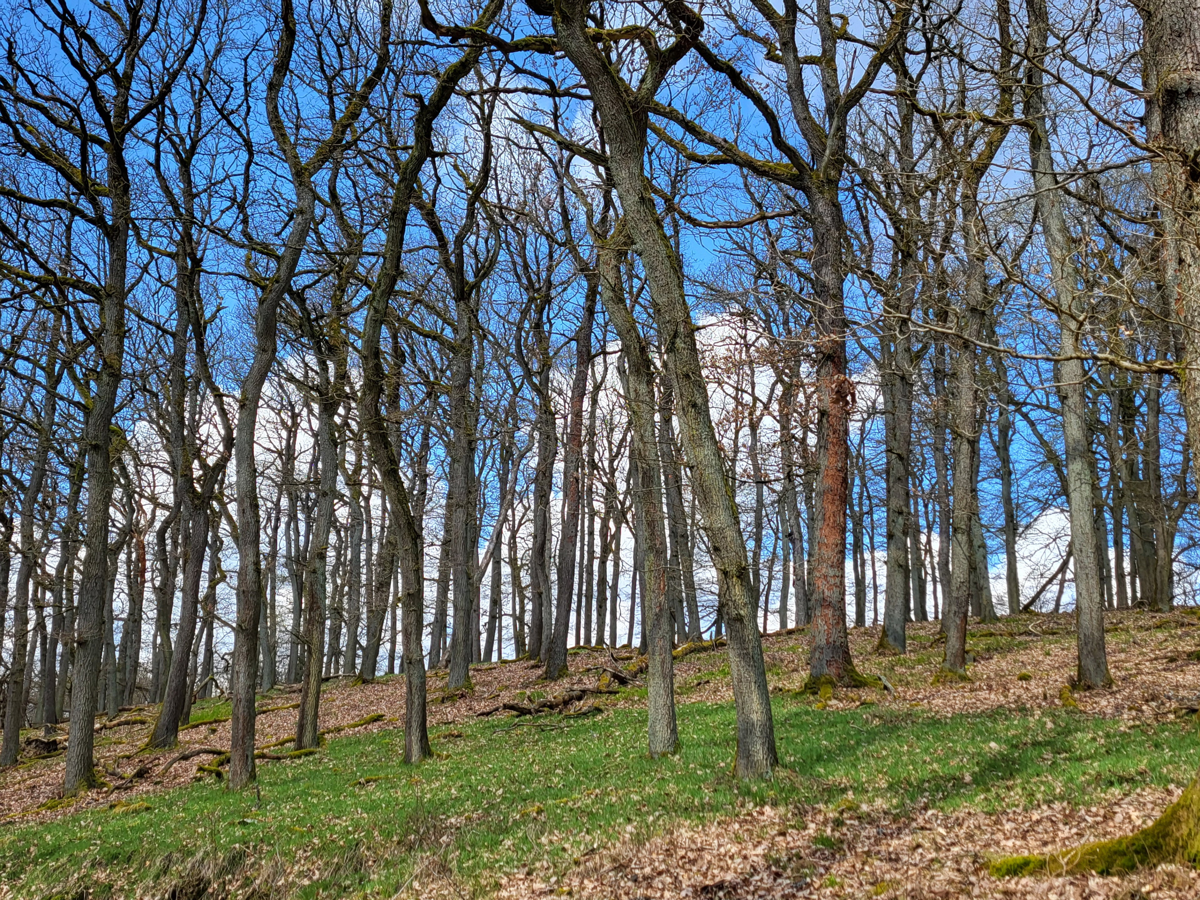 Naturhäuschen in Frankenau