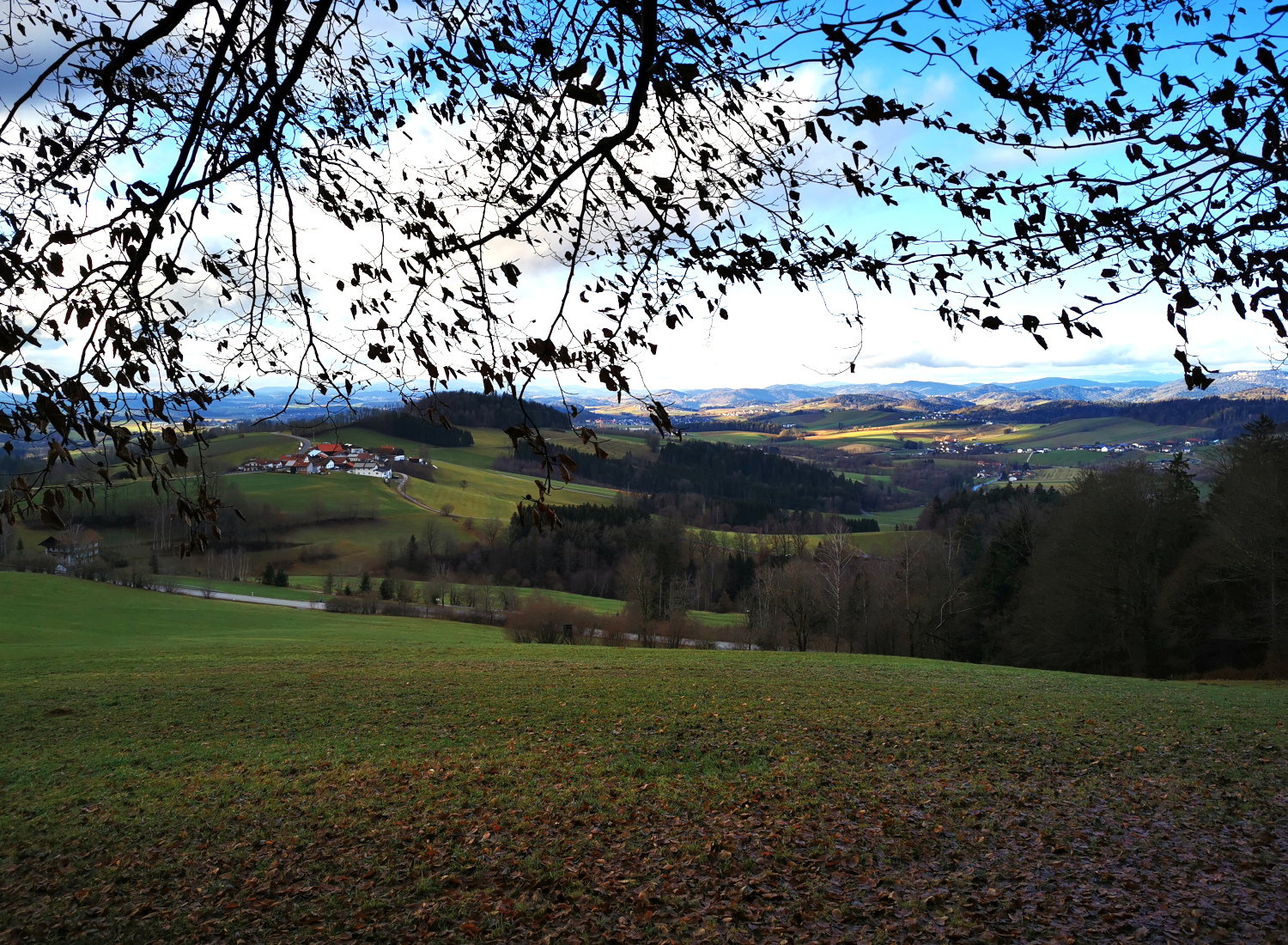 - image: 23
