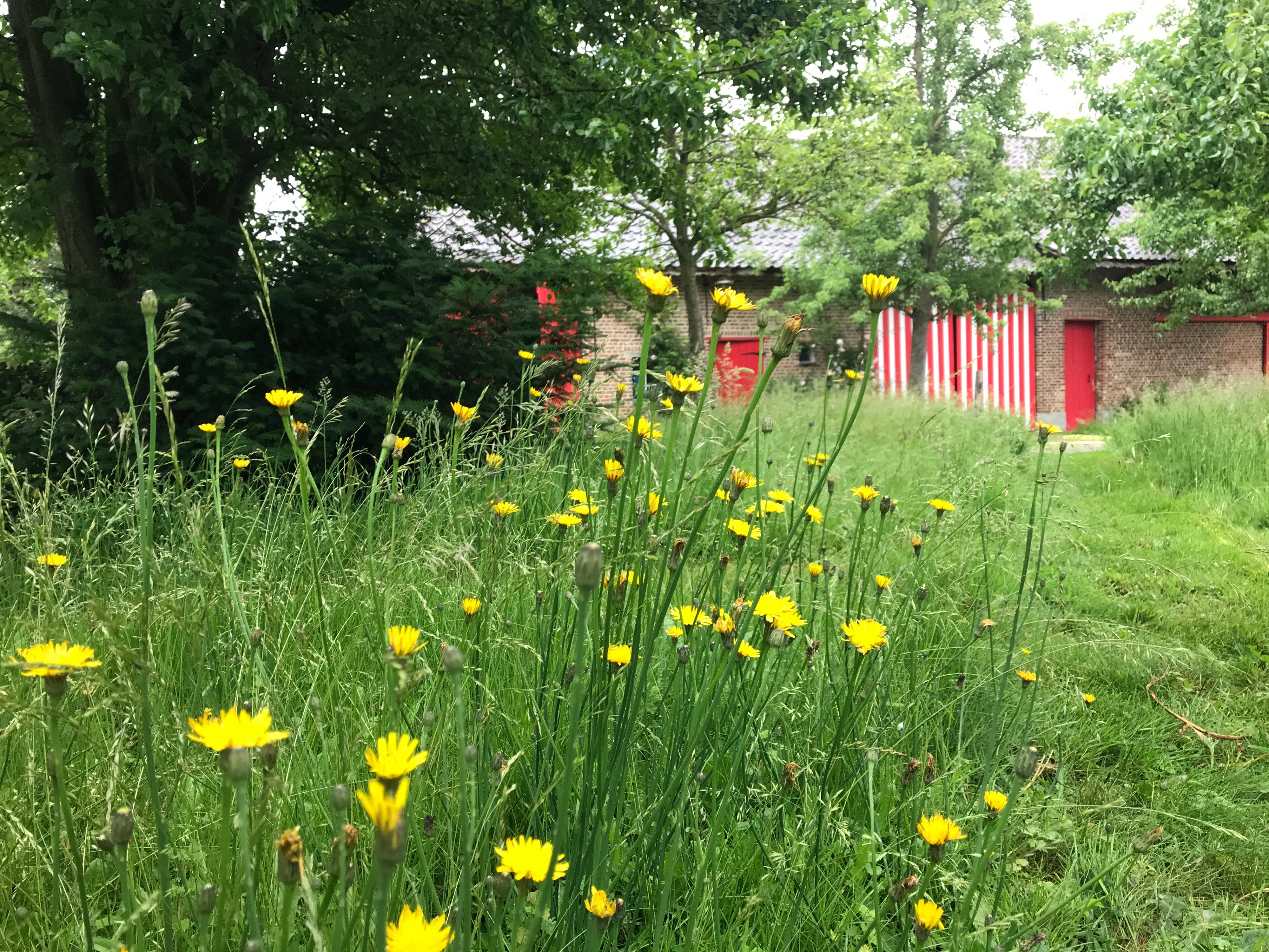 Natuurhuisje in Lochristi