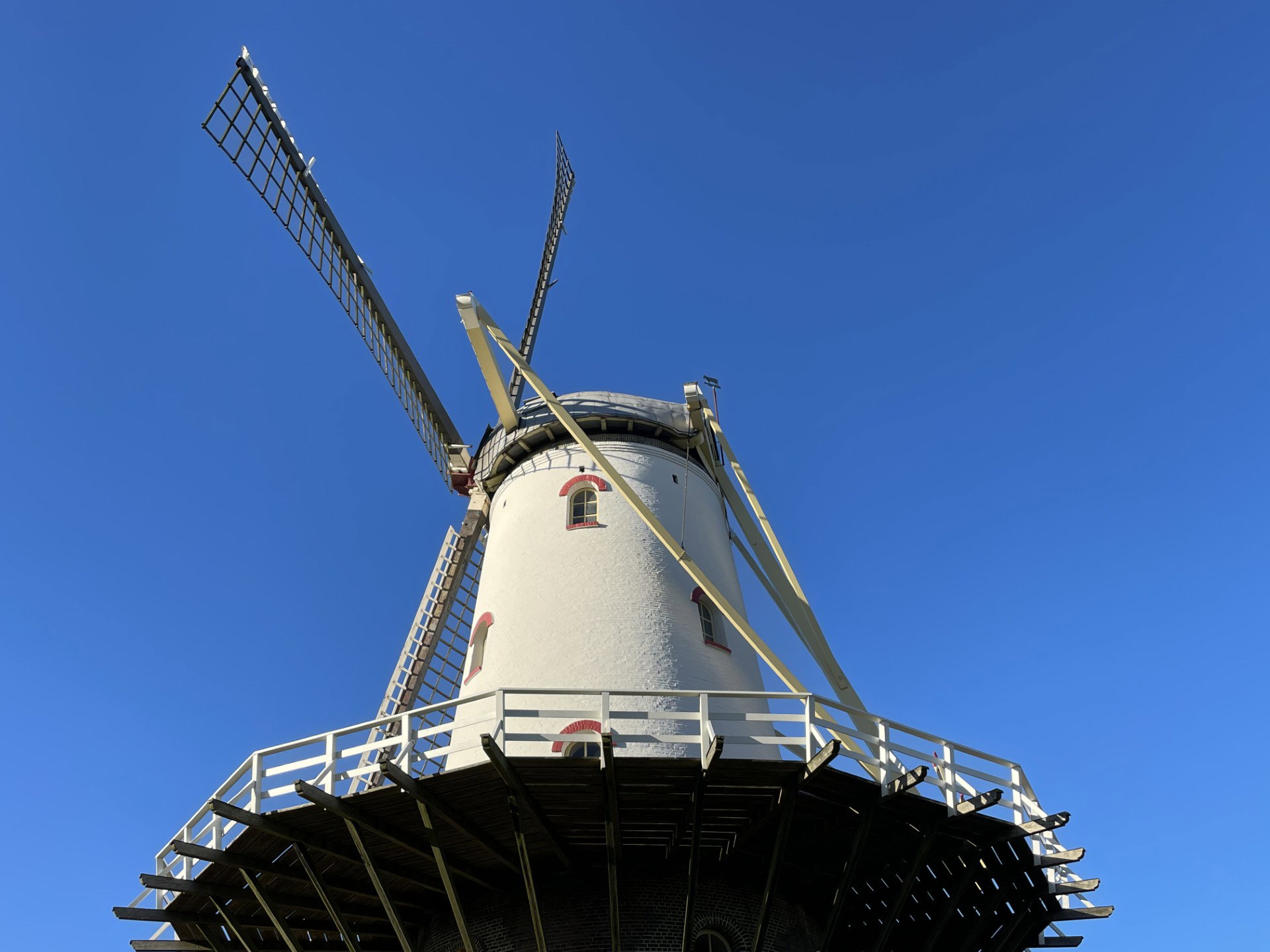 - image: 55