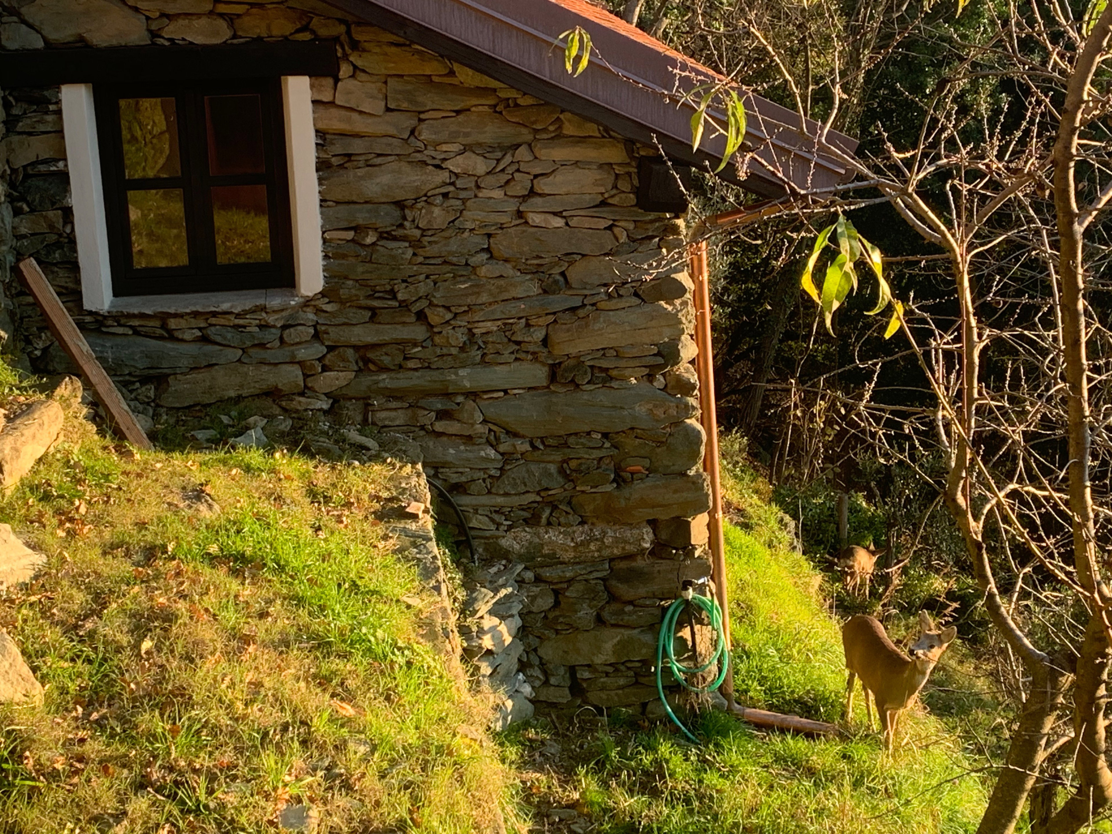 Casa nella natura a Stella