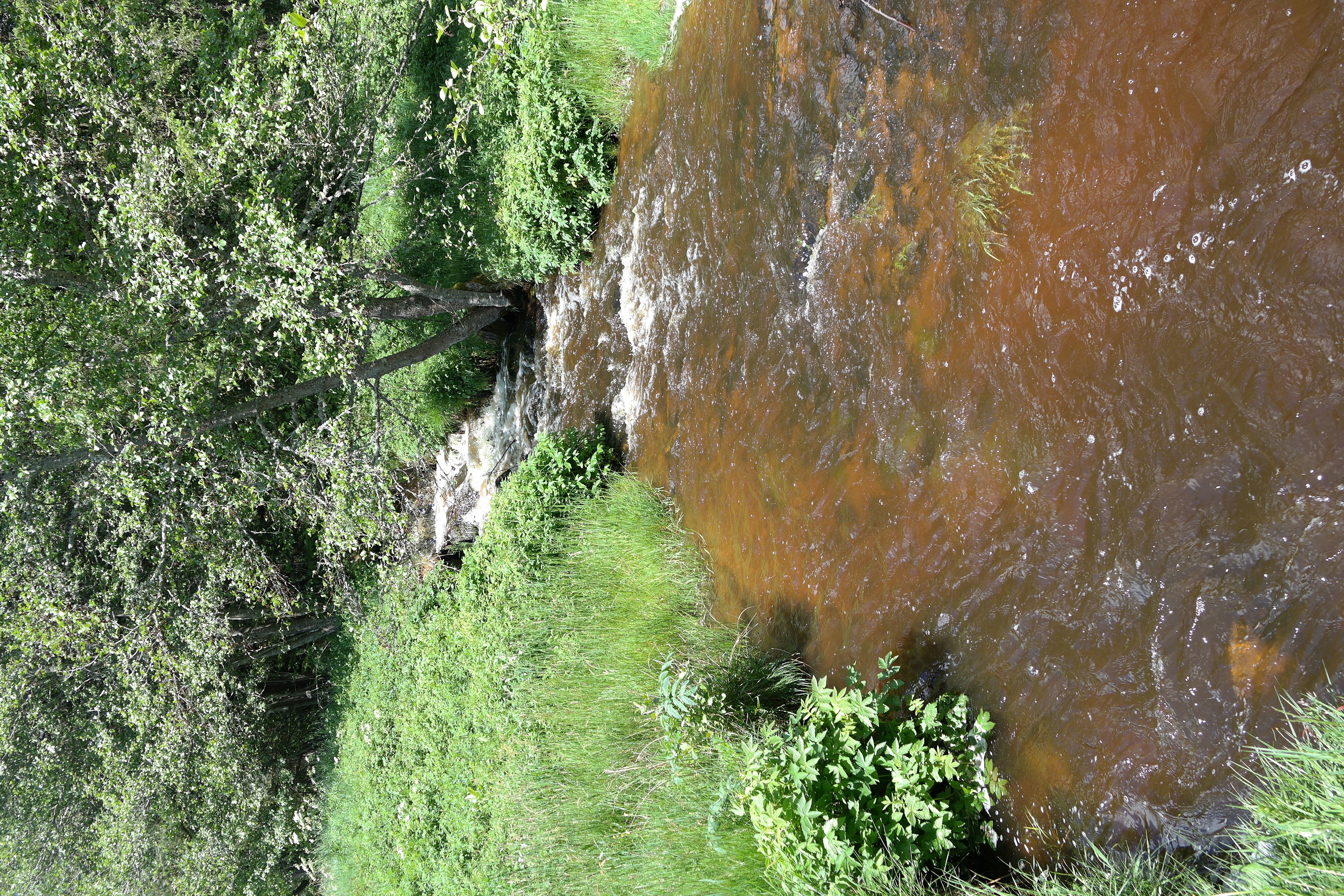 - image: 20