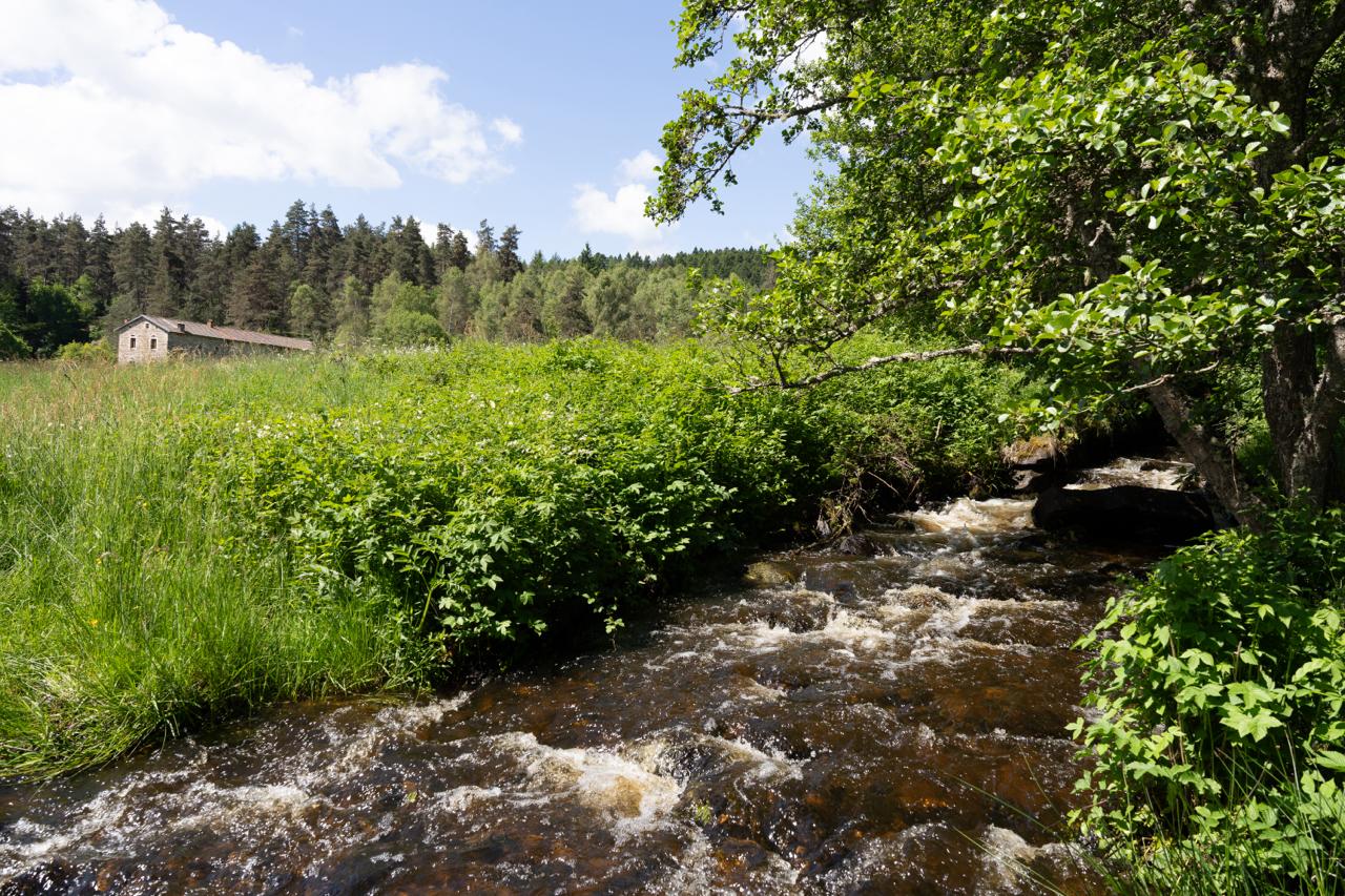 Natuurhuisje in Saint Bonnet le Chastel