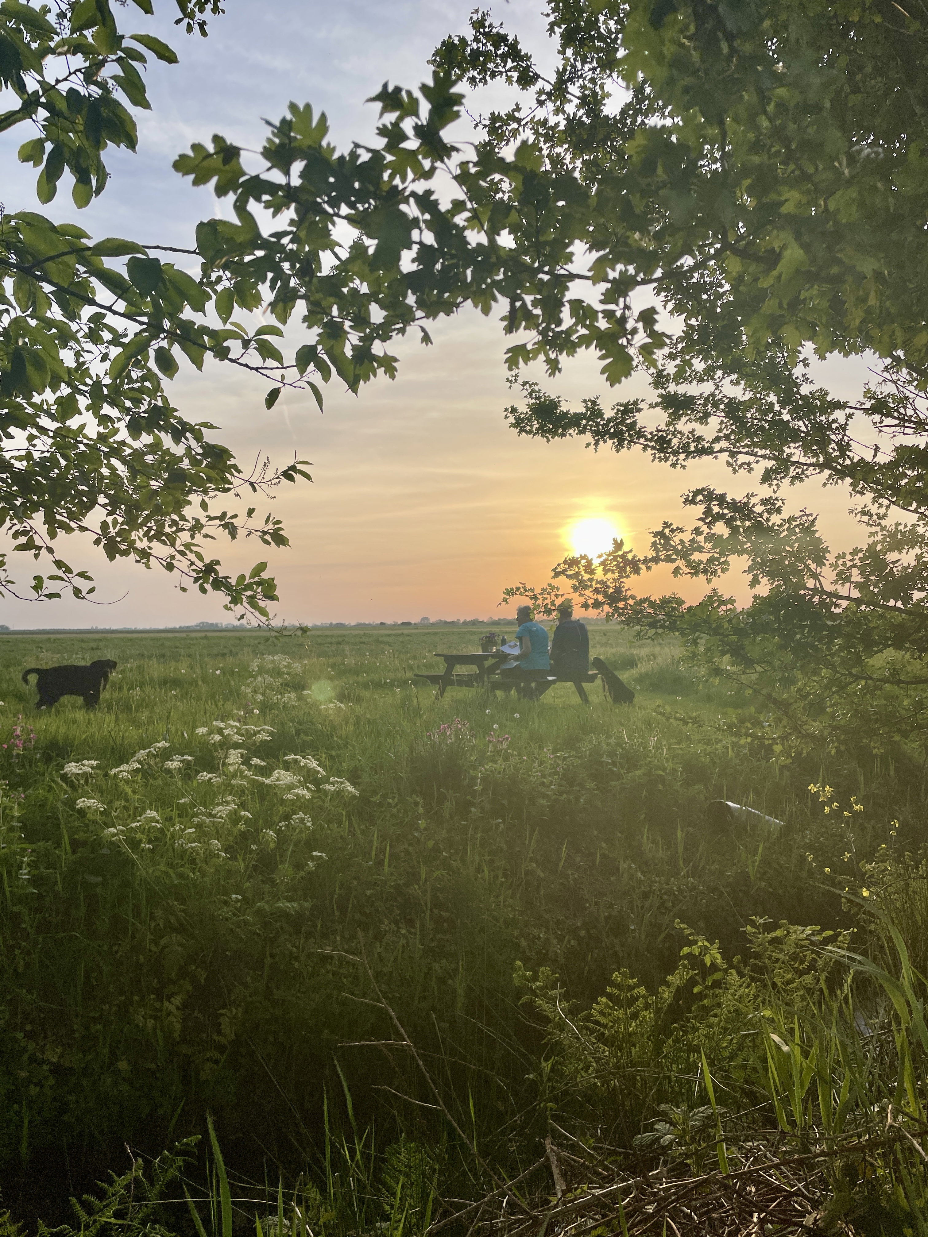 Naturhäuschen in Rotstergaast