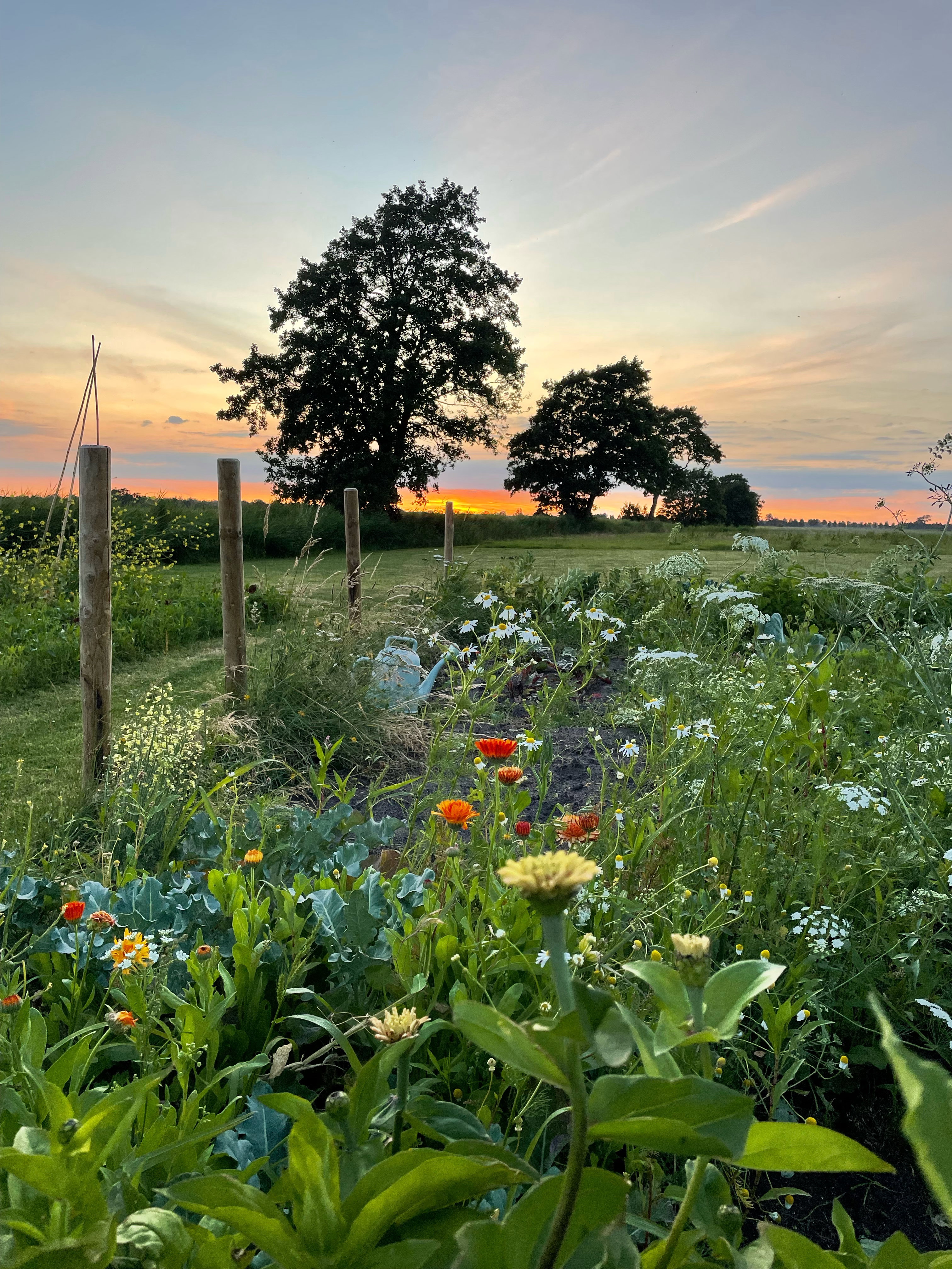 Naturhäuschen in Rotstergaast