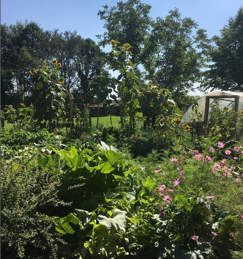 Natuurhuisje in Lommel