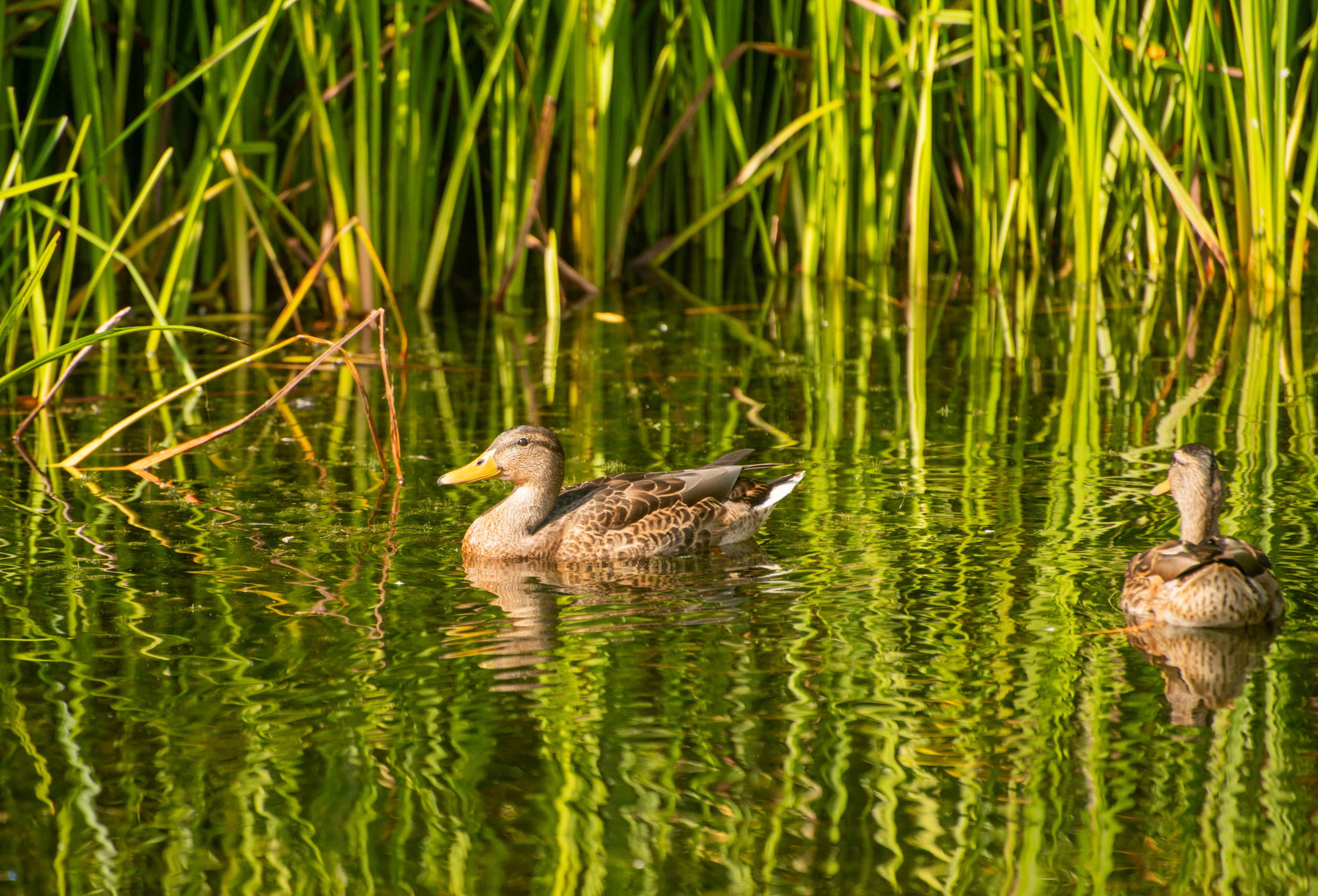 Natuurhuisje in Gilze
