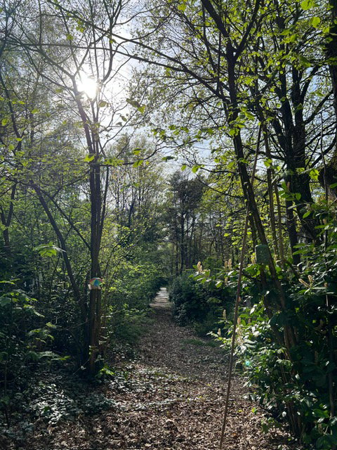 - image: 12