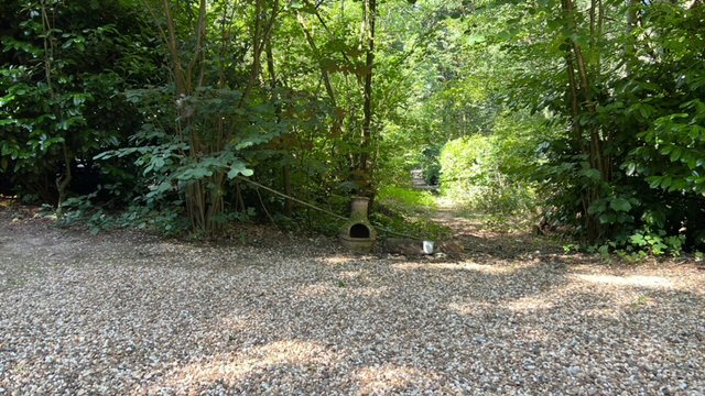 - image: 21