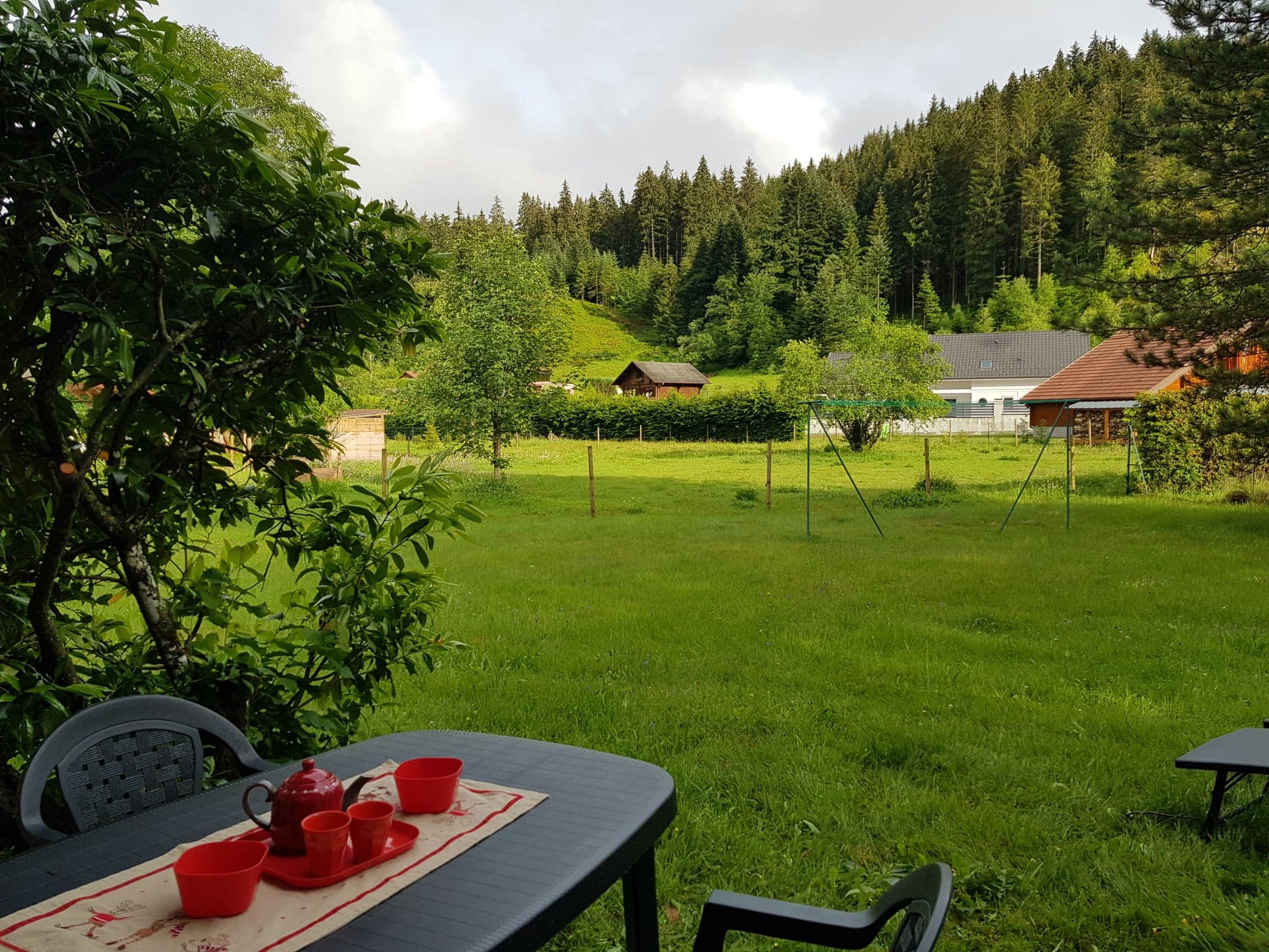 Natuurhuisje in GERARDMER
