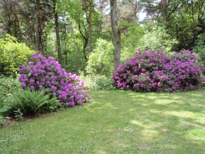 Naturhäuschen in Harfsen
