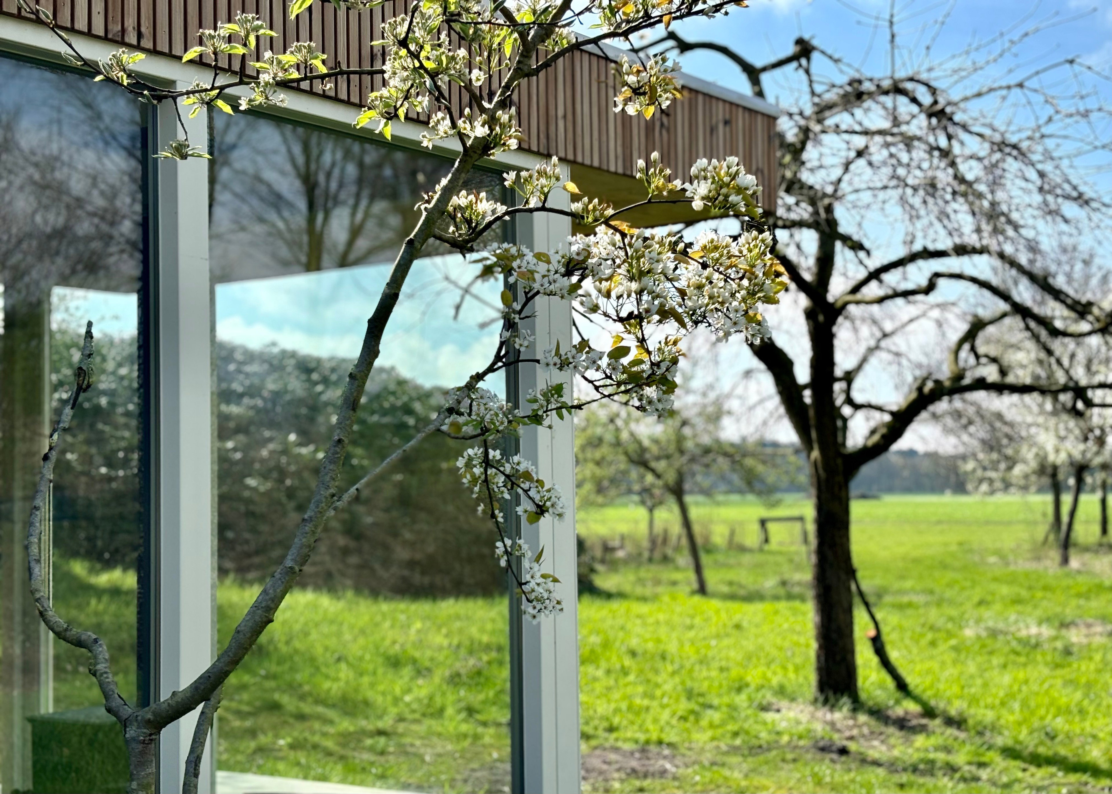 Naturhäuschen in Hulshorst