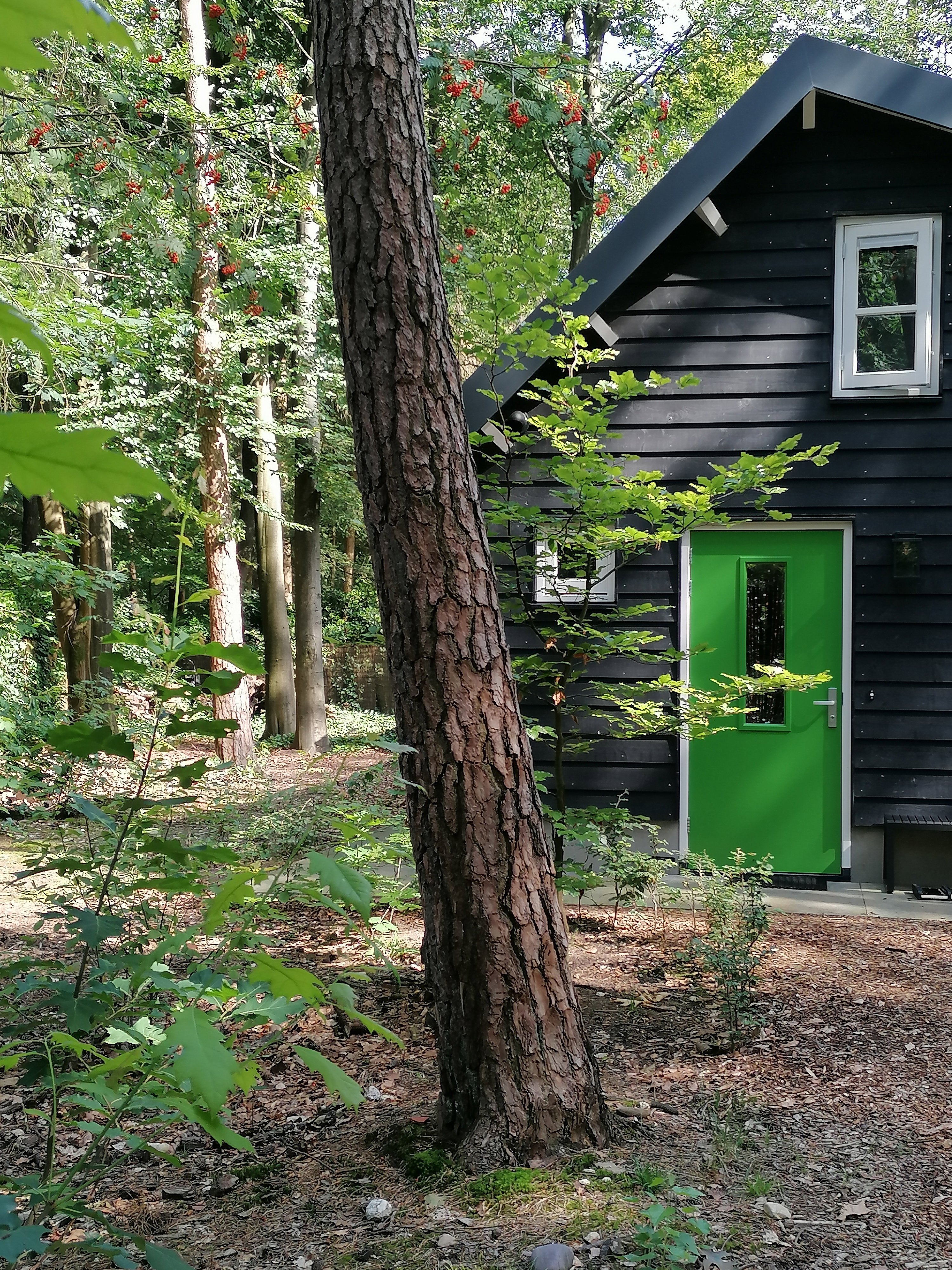 Natuurhuisje in Emst