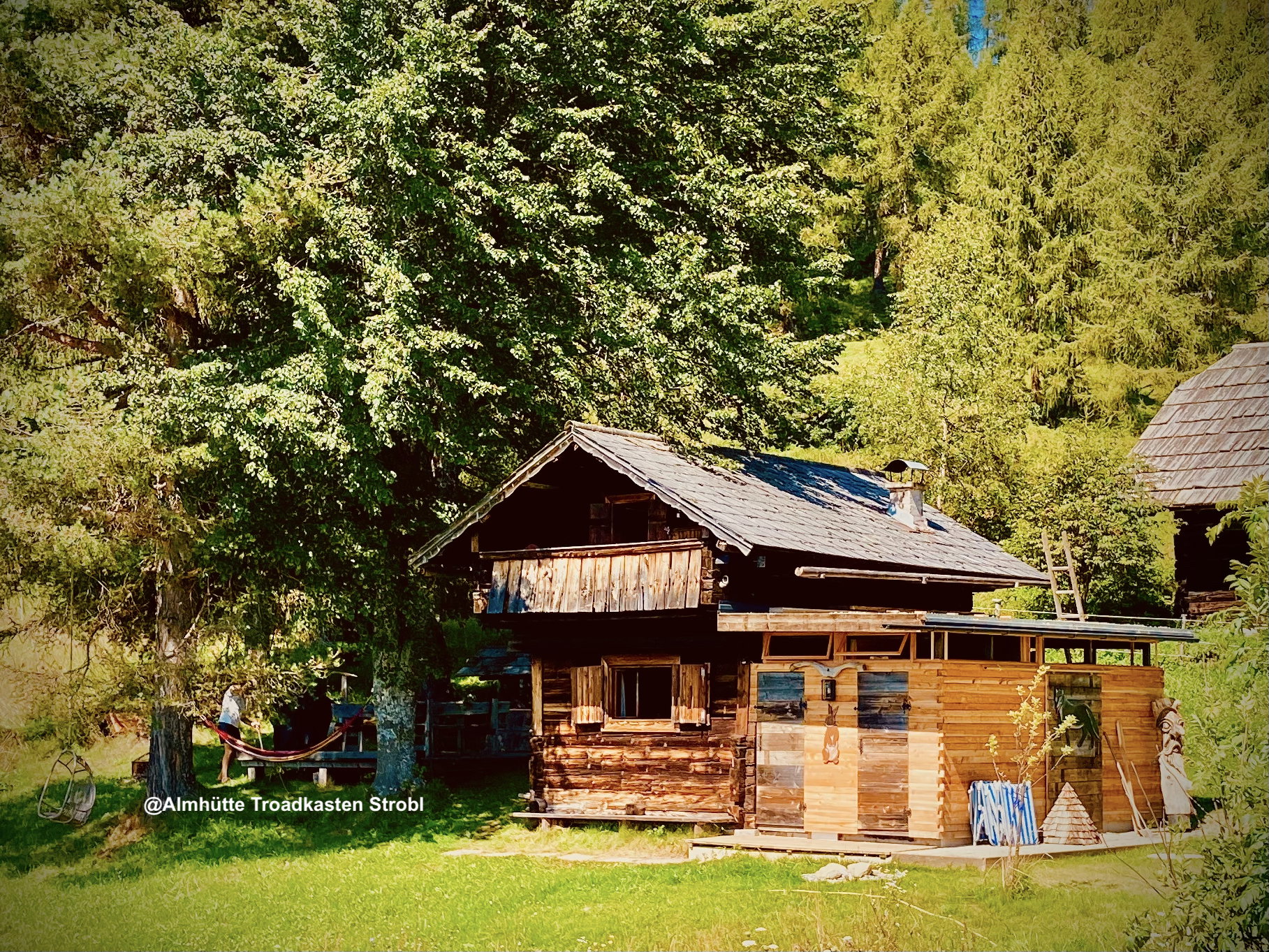 - image: 23
